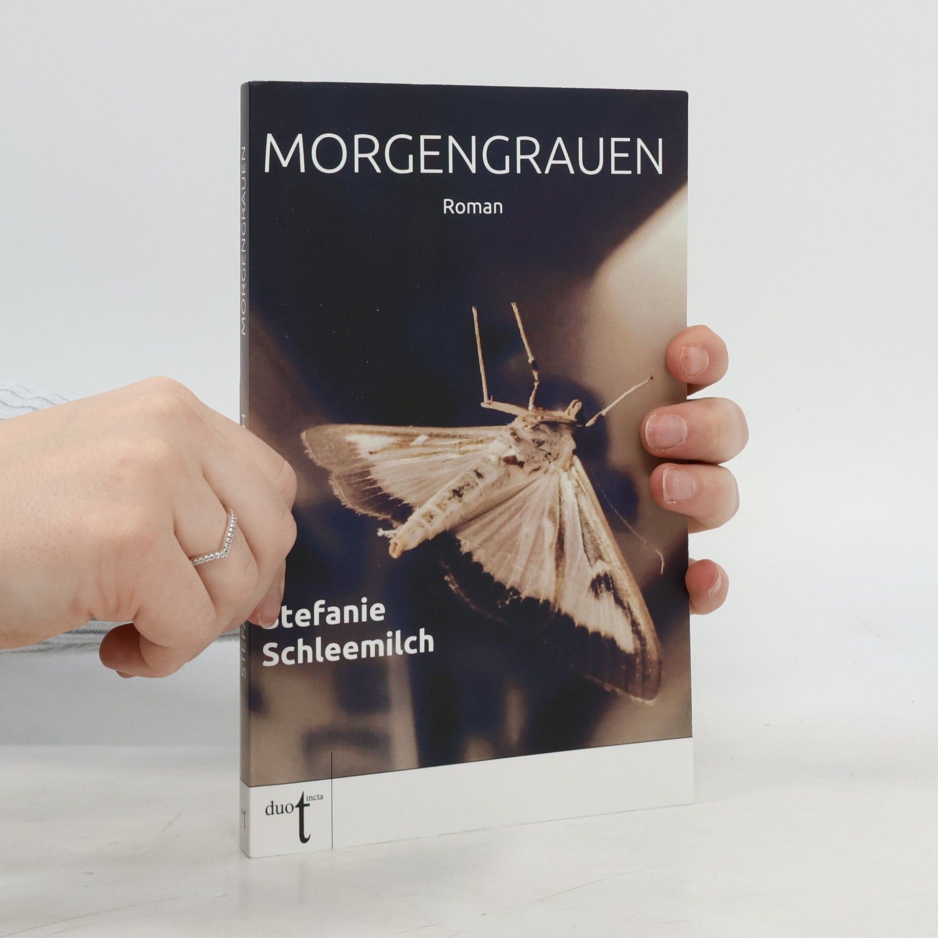 Stefanie Schleemilch Morgengrauen