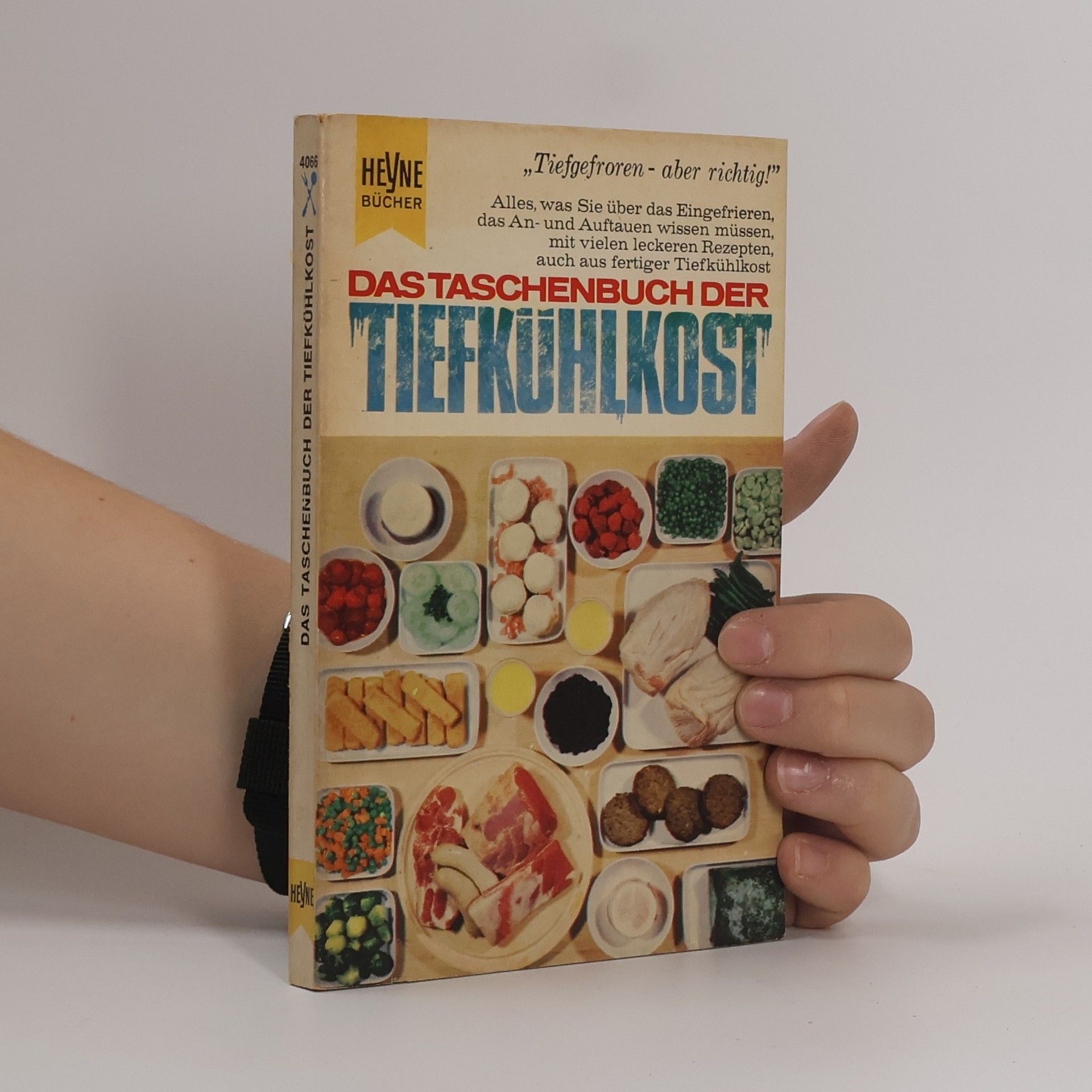 Kolektív autorov Das Taschenbuch der Tiefkühlkost