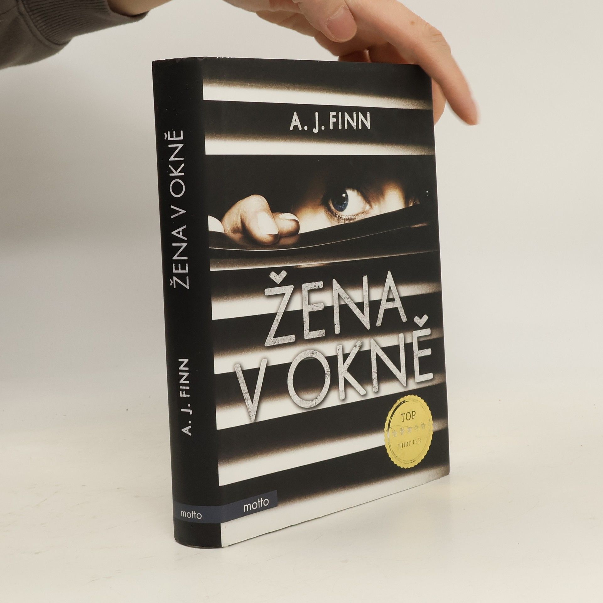 Daniel Mallory Žena v okně