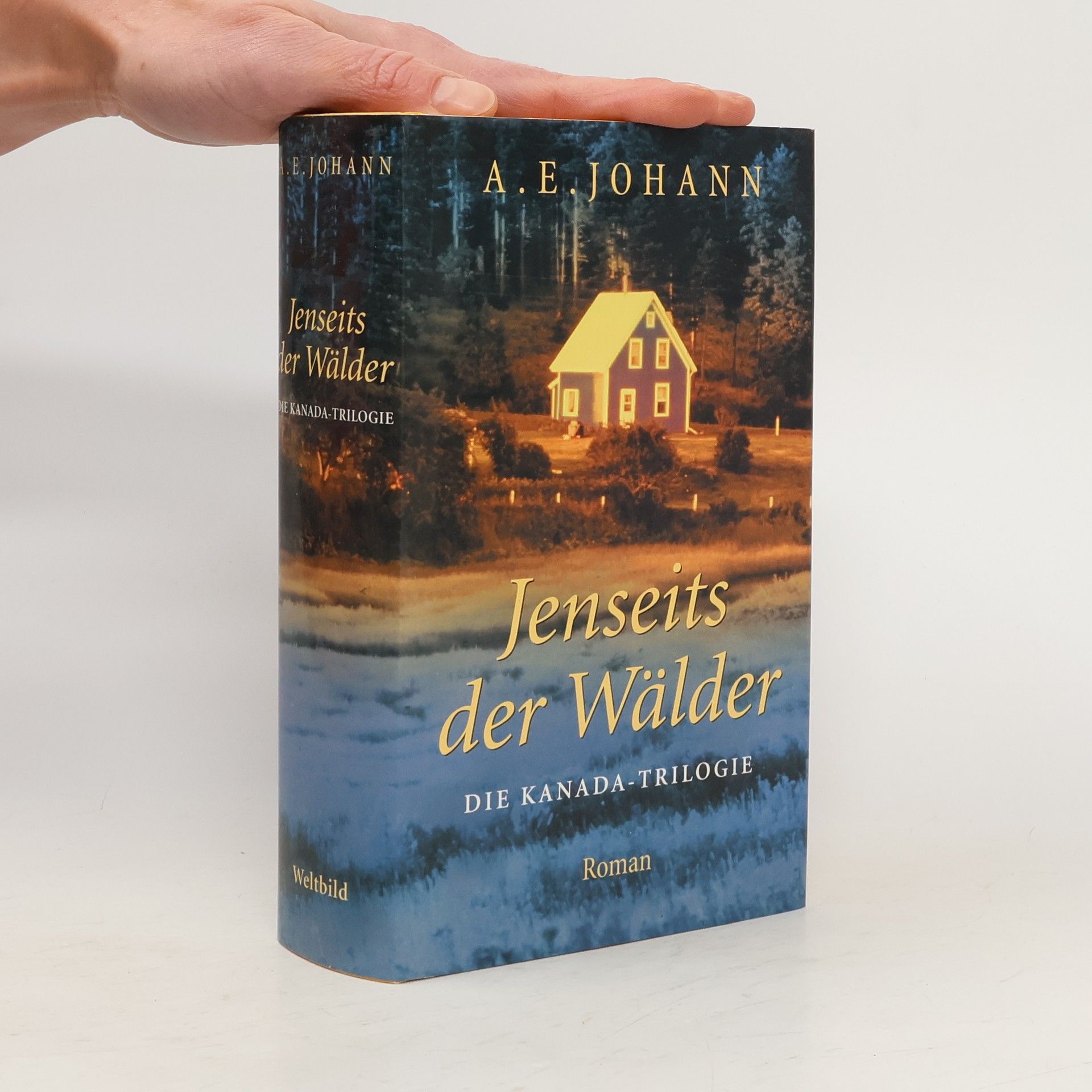 Alfred E. Johann Jenseits der Wälder