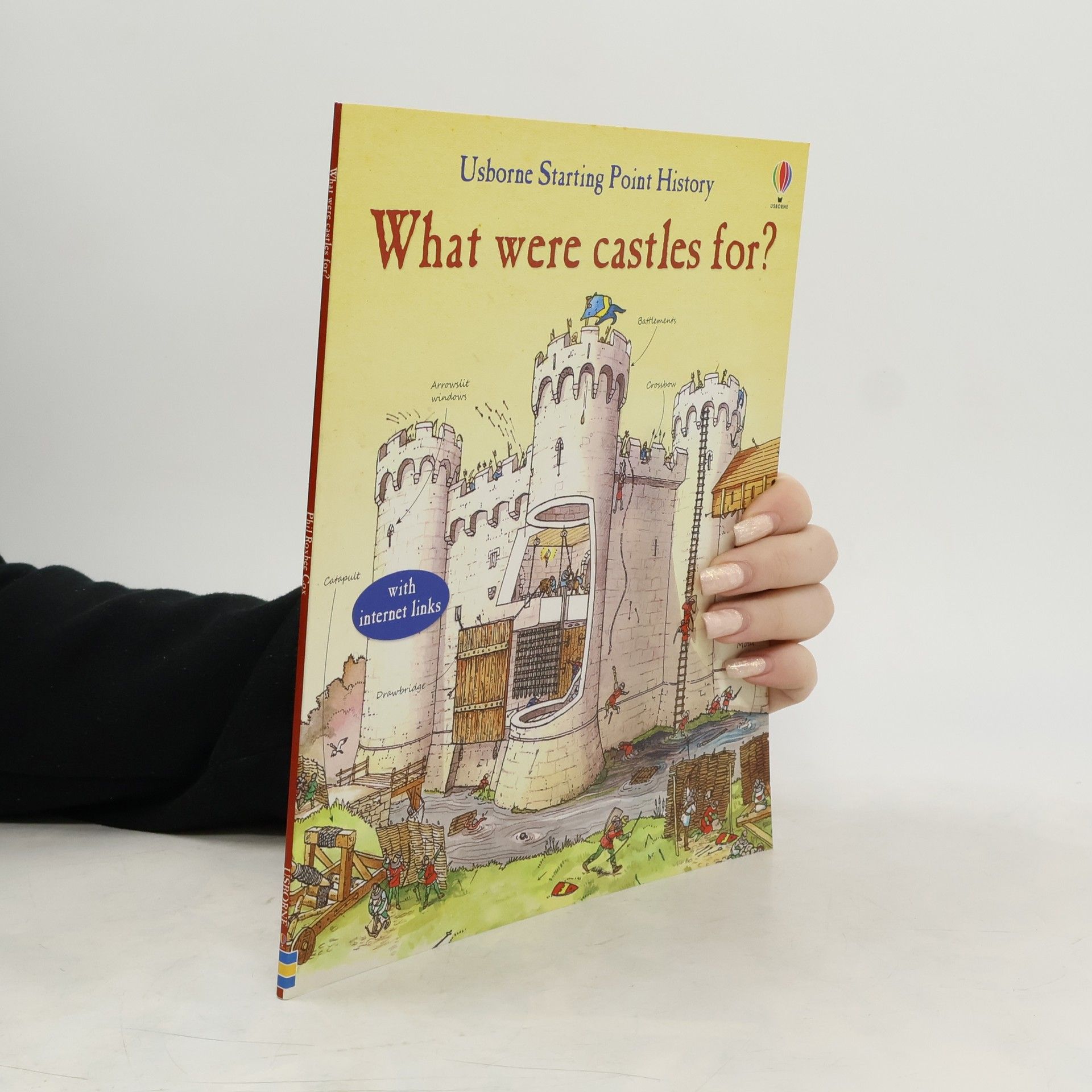 Phil Roxbee Cox What Were Castles For?