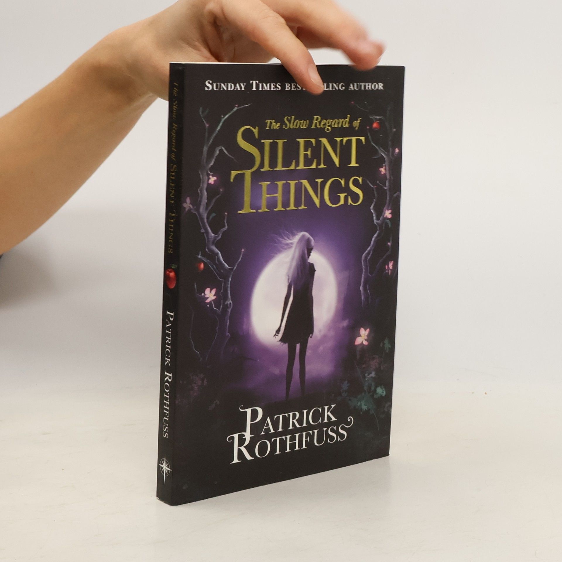 Patrick Rothfuss The Slow Regard of Silent Things