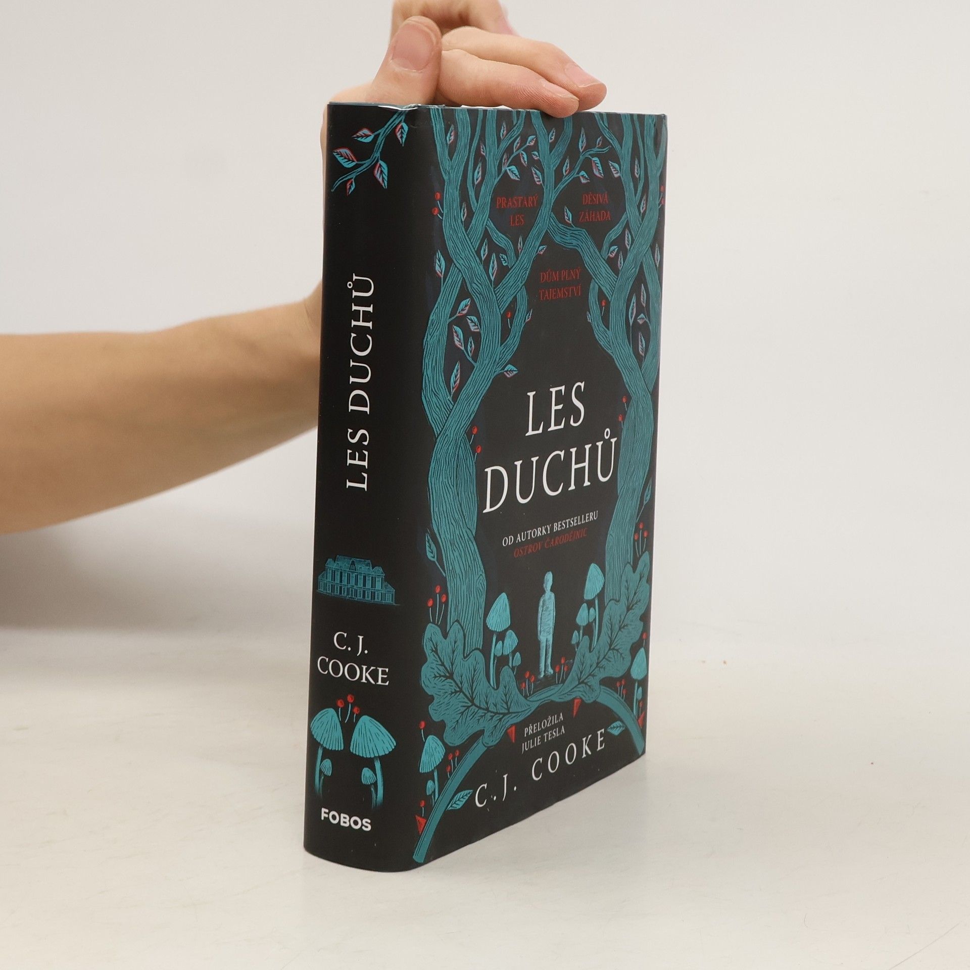 Carolyn Jess-Cooke Les duchů