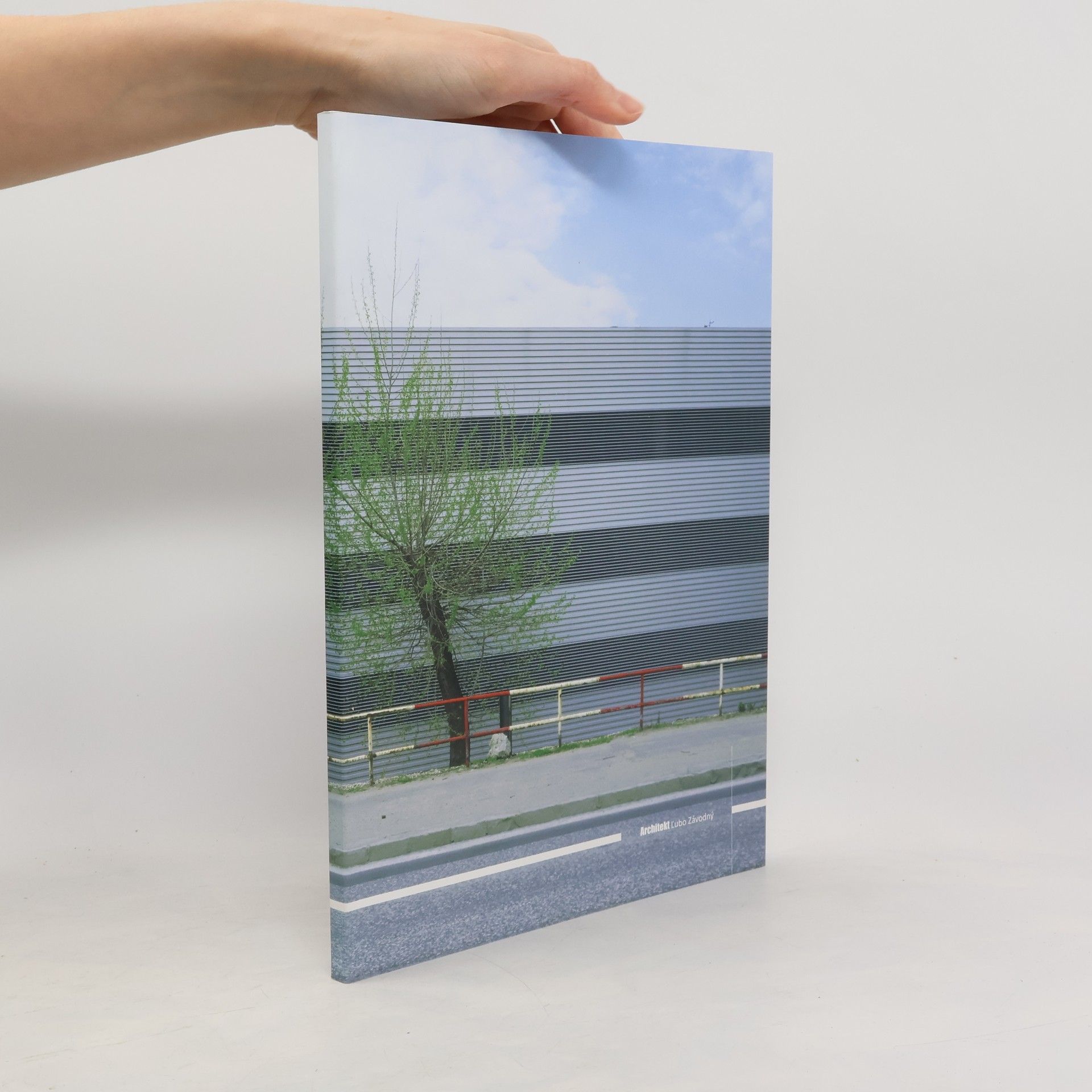 Architekt Ľubo Závodný