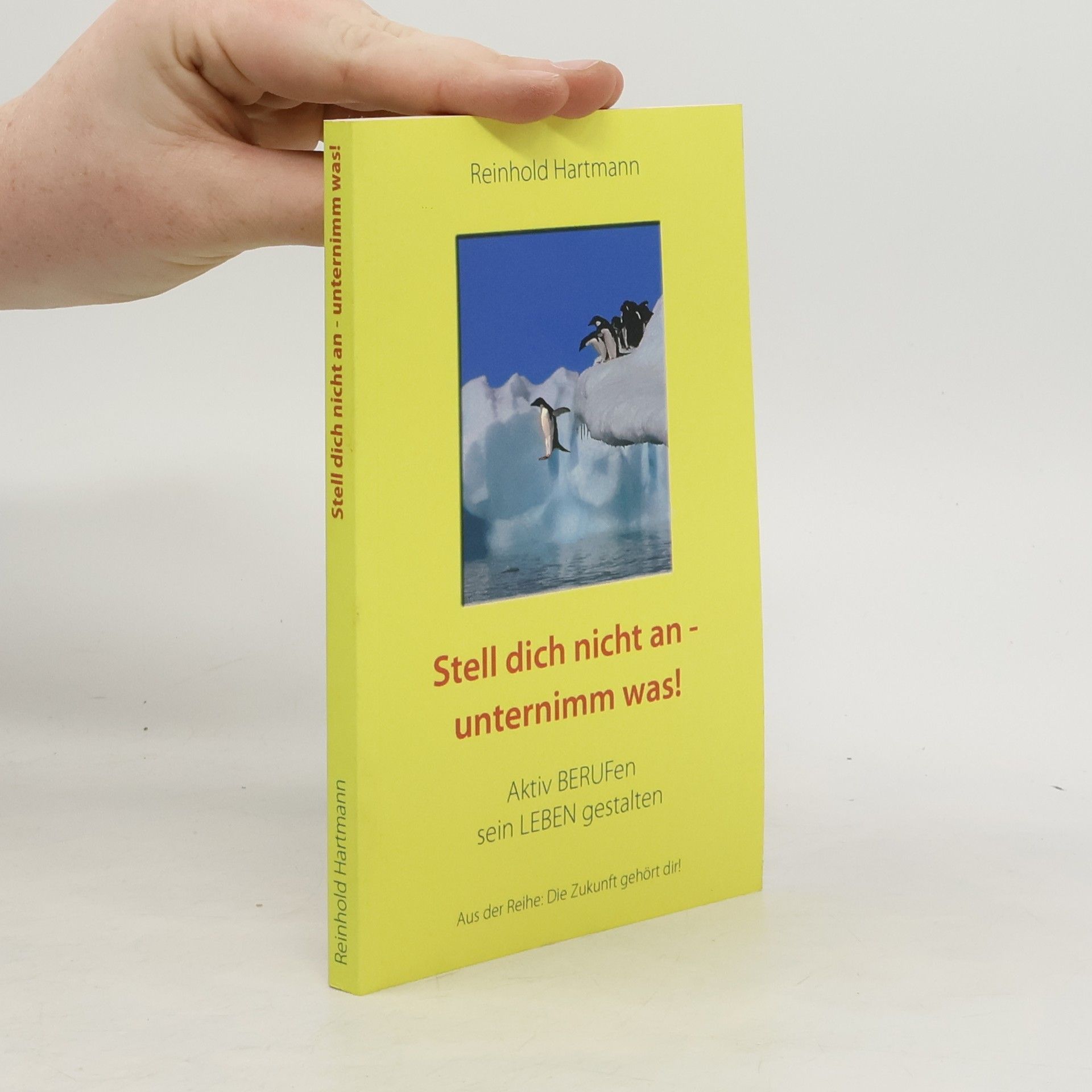 Reinhold Hartmann Stell dich nicht an - unternimm was!