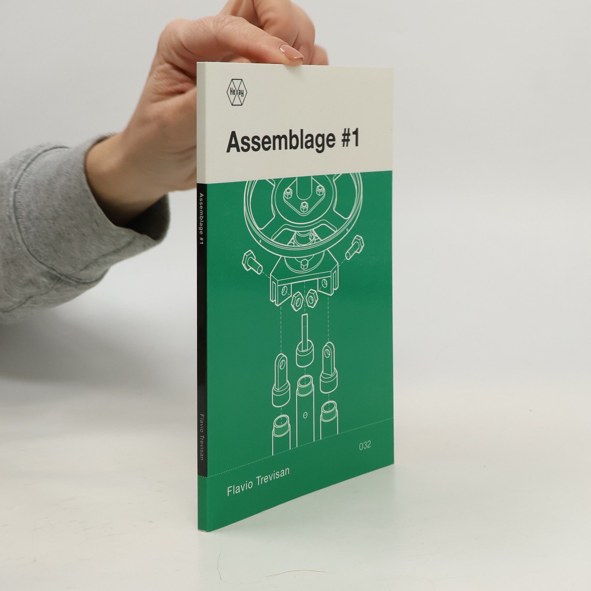 Flavio Trevisan Assemblage #1