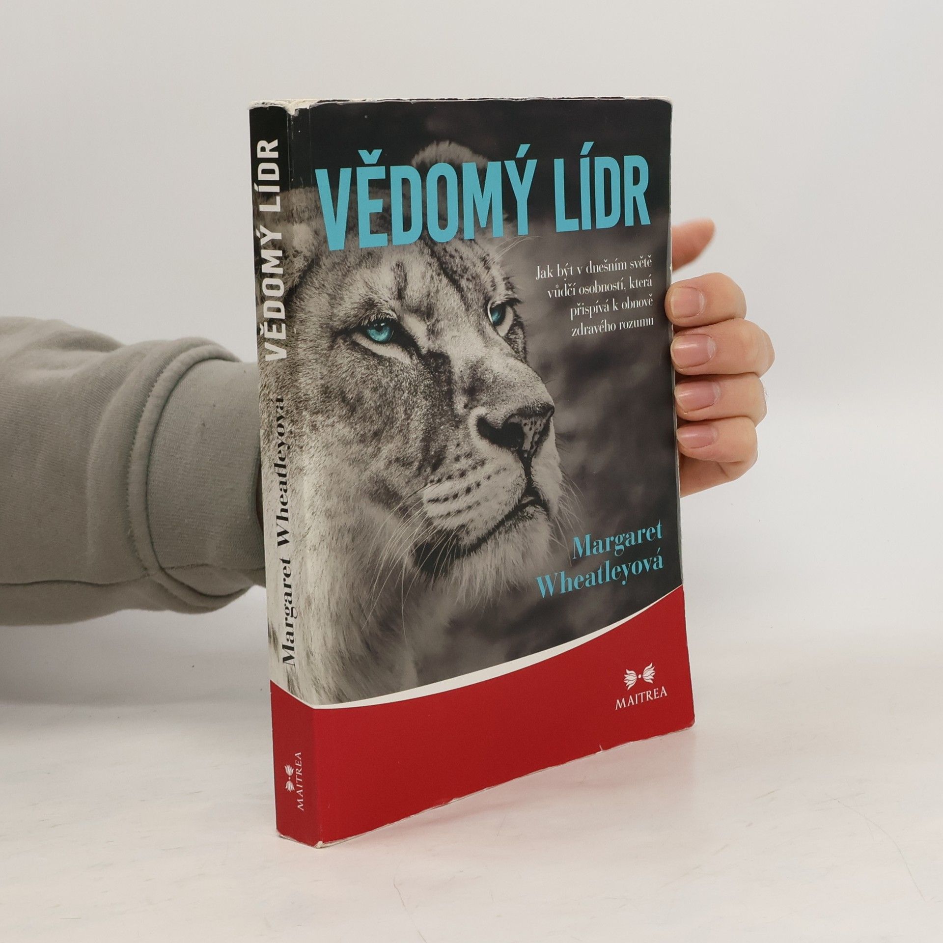 Margaret J. Wheatley Vědomý lídr