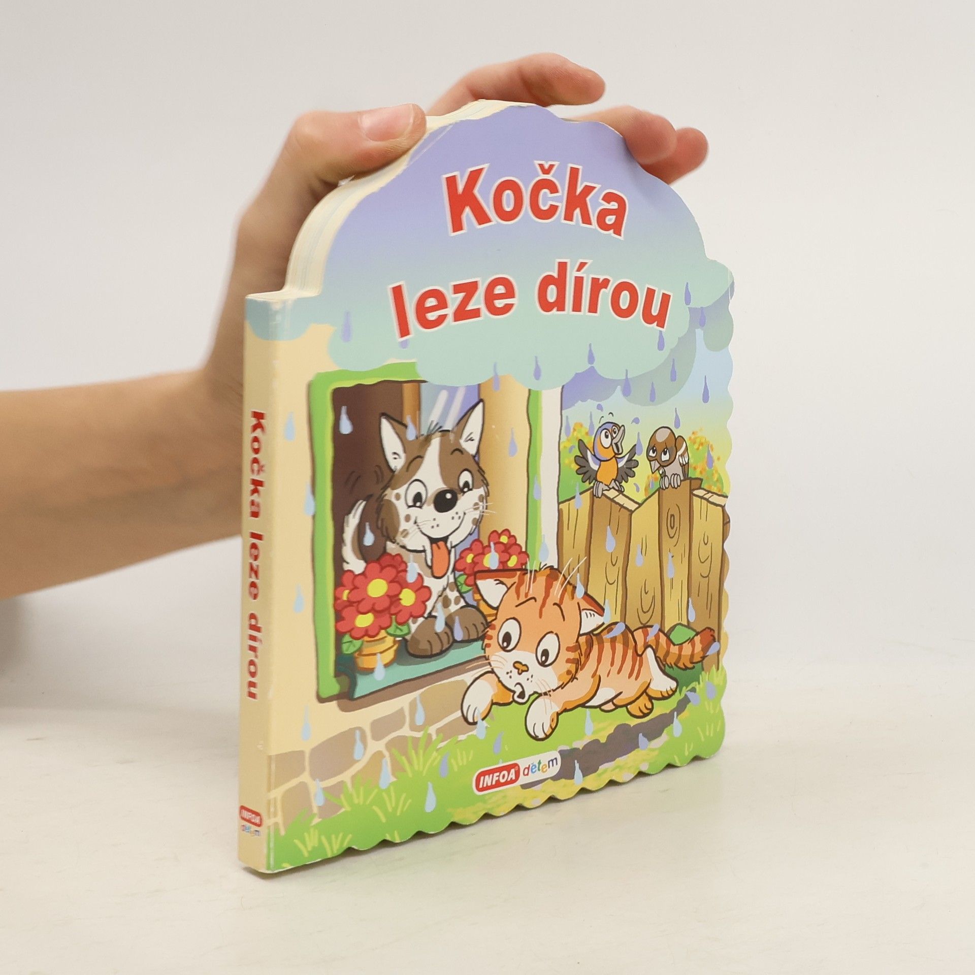 Zdeňka Študlarová Kočka leze dírou