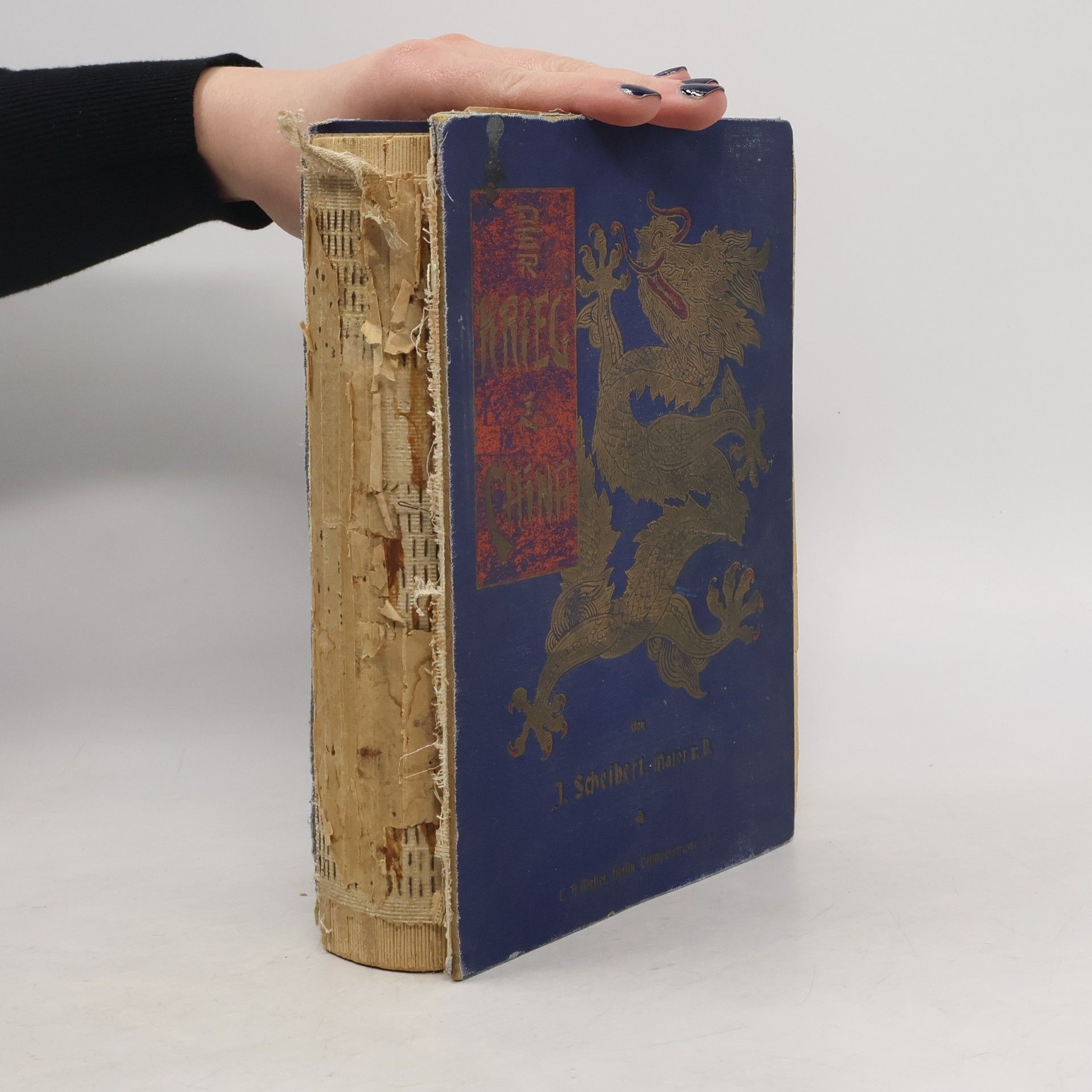 Justus Scheibert Der Krieg in China 1900-1901. Erster Band