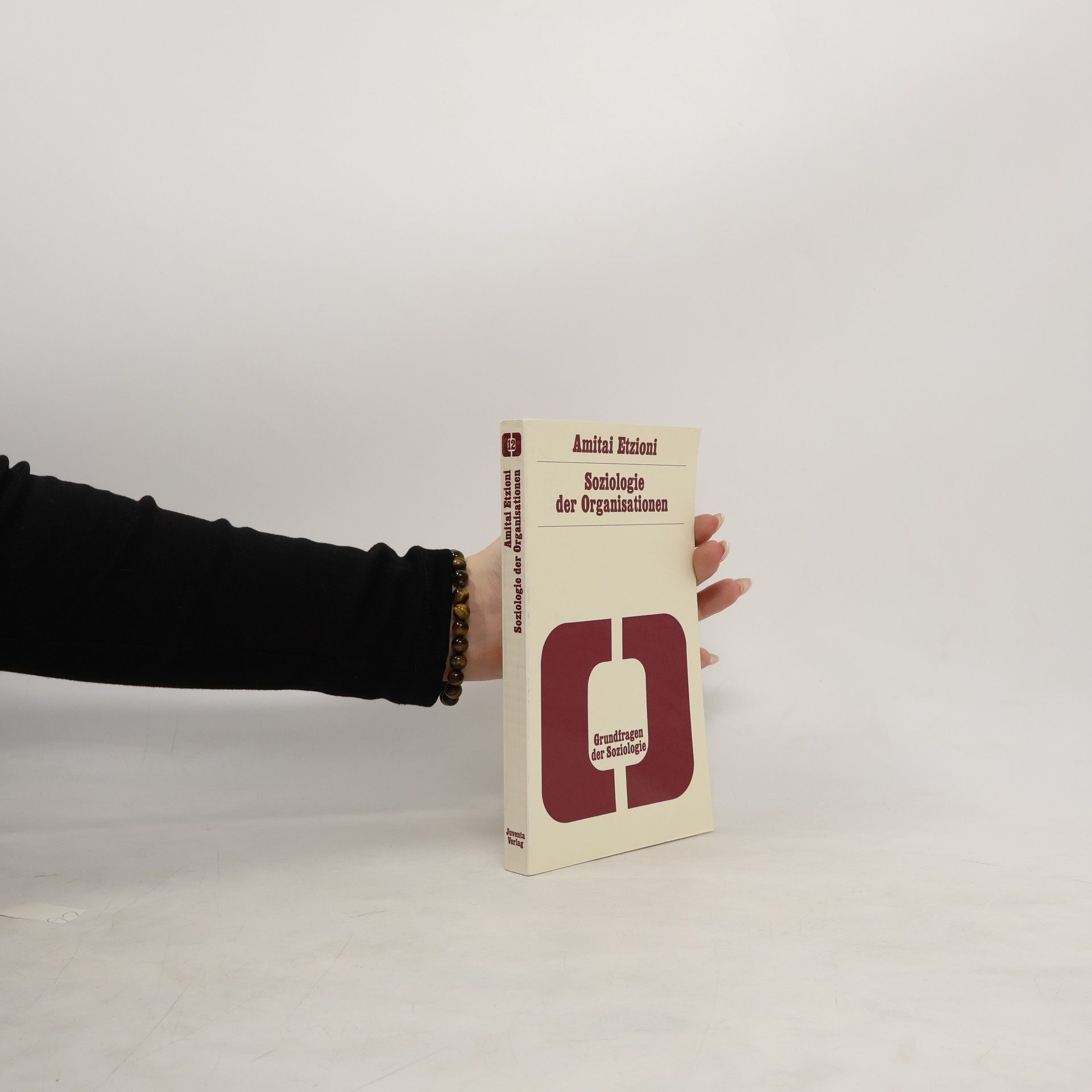 Grundfragen der Soziologie - 13: Soziologie der Organisationen