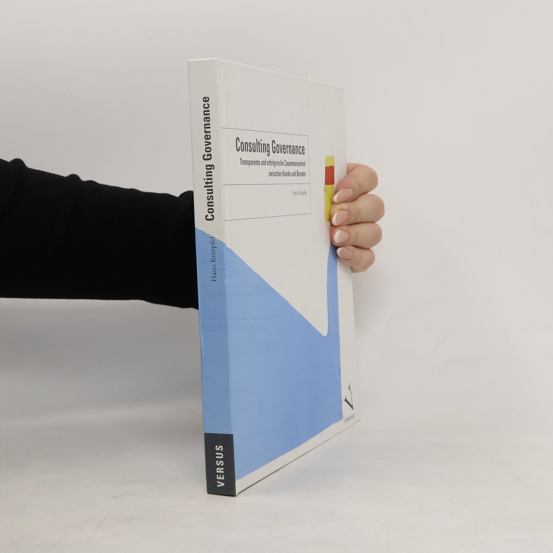 Hans Knöpfel Consulting Governance