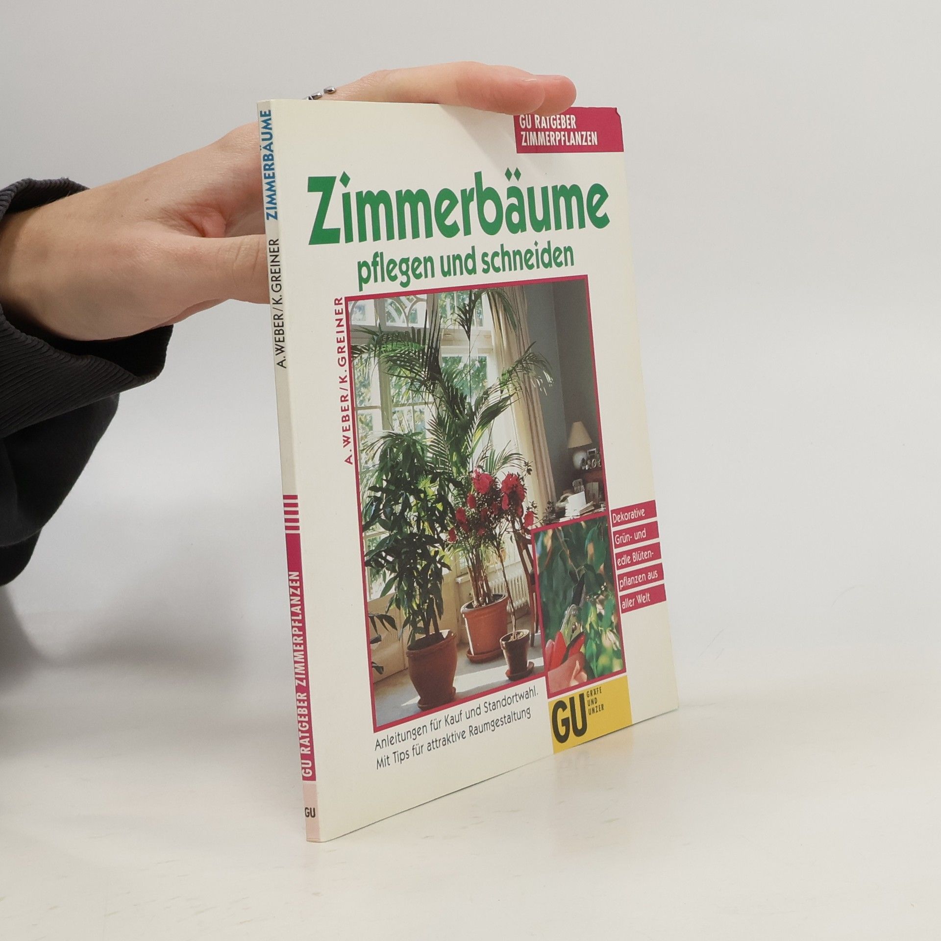 Zimmerbäume pflegen und schneiden