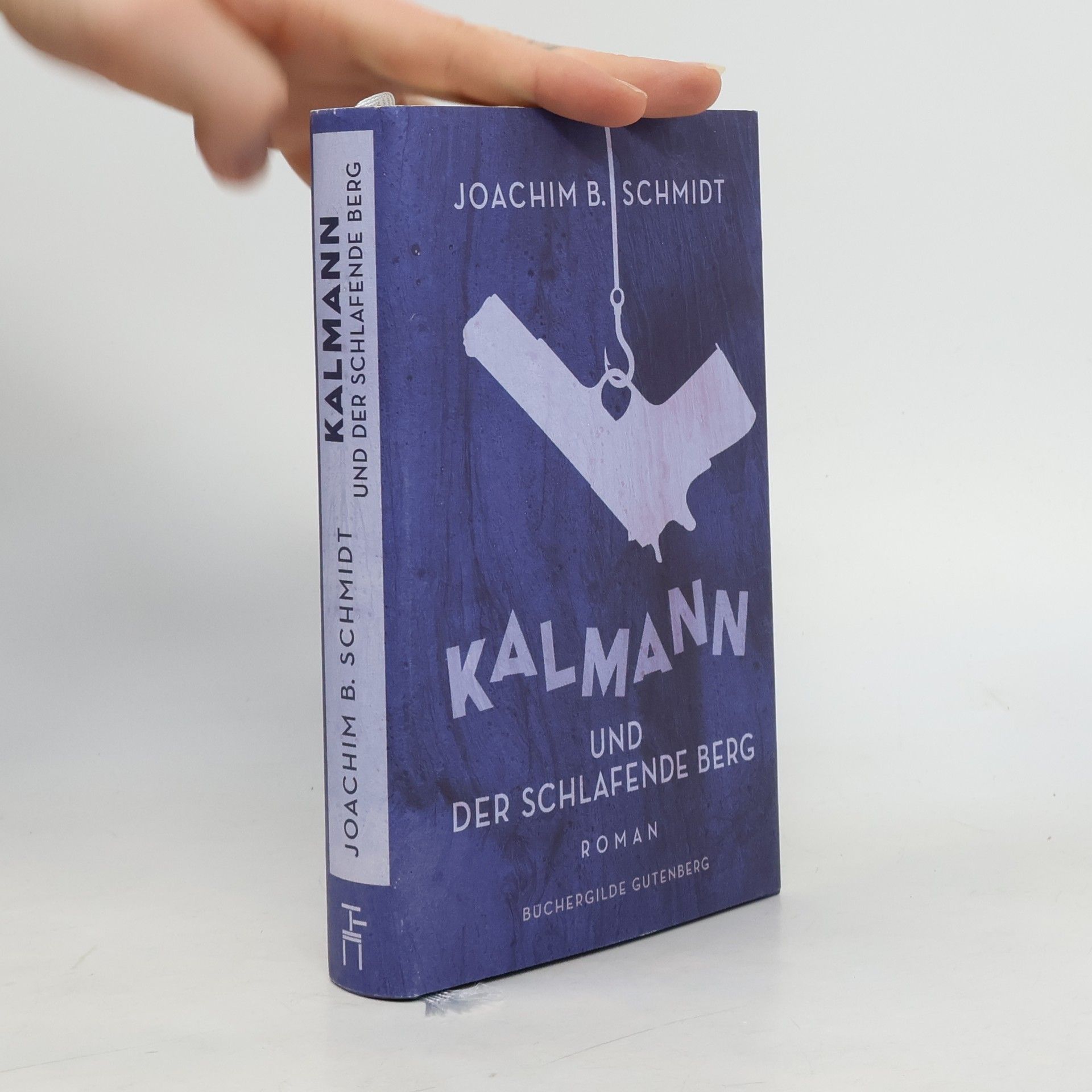 Joachim B. Schmidt Kalmann und der schlafende Berg