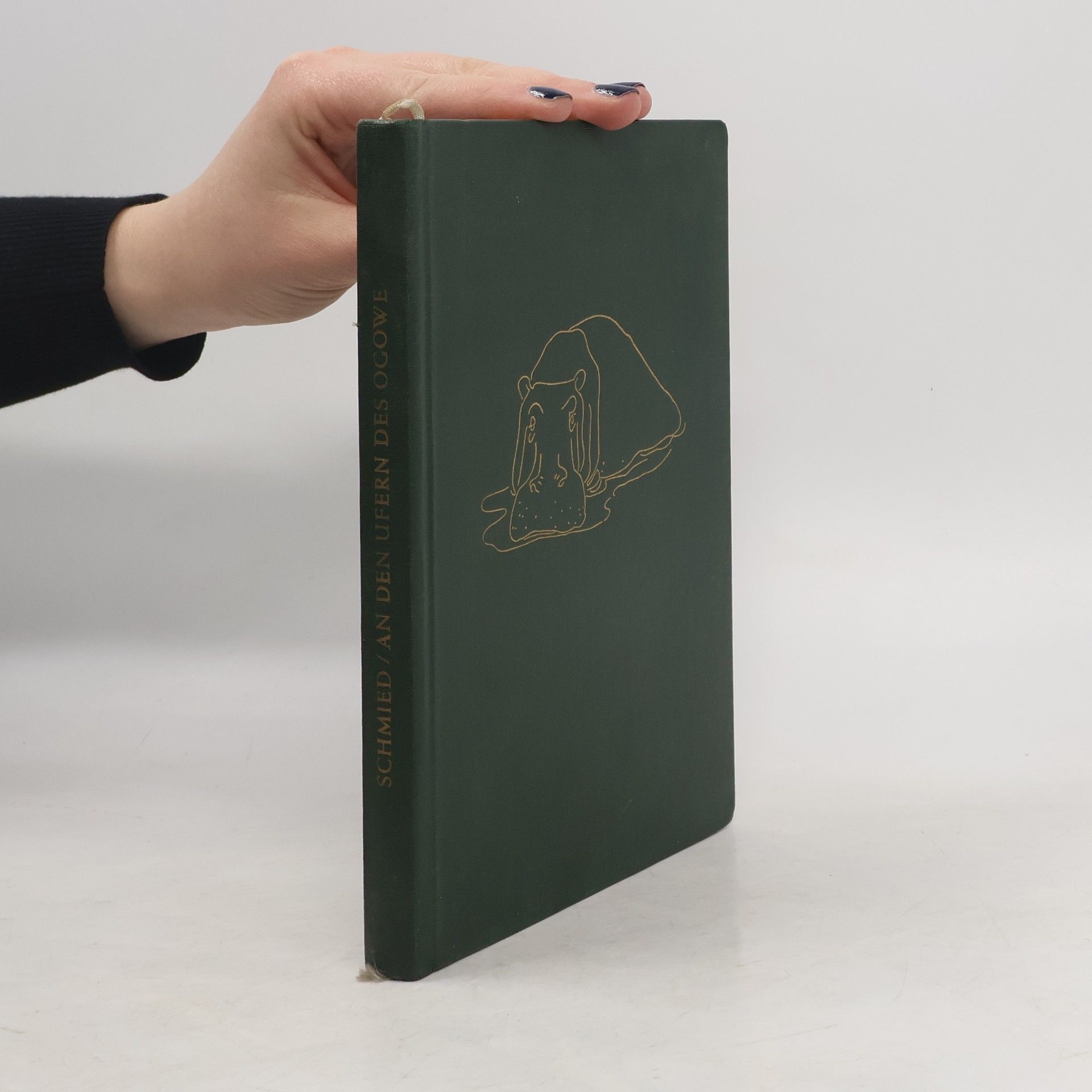 Luise Maria Schmied An den Ufern des Ogowe