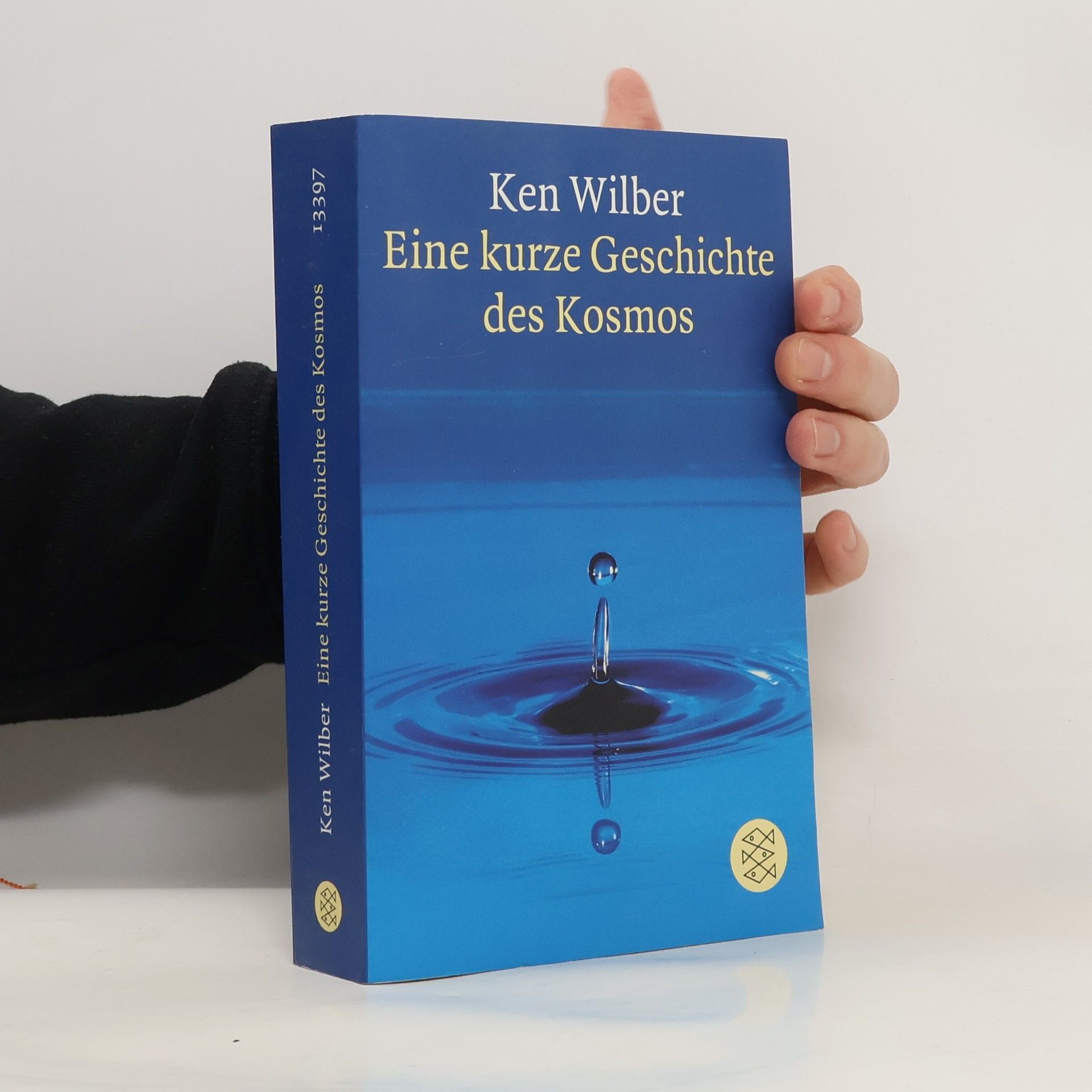Ken Wilber Eine kurze Geschichte des Kosmos