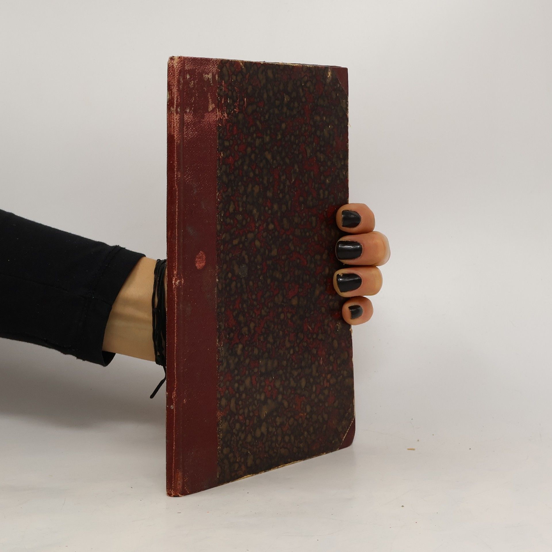 Kolektív autorov Vídeňská matice