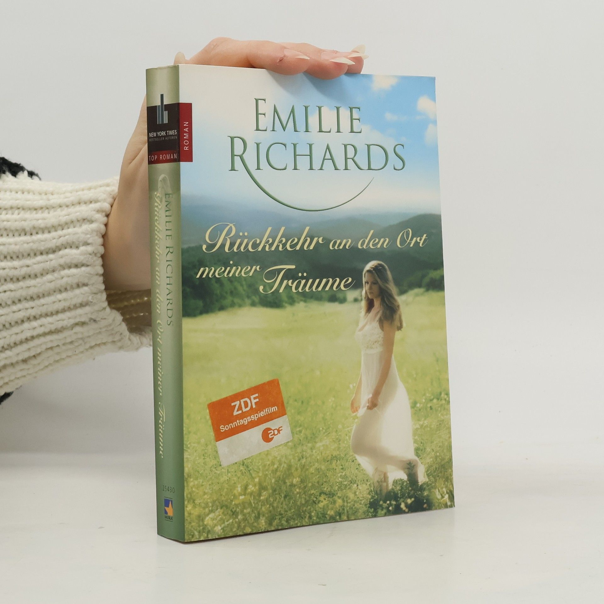 Emilie Richards Rückkehr an den Ort meiner Träume