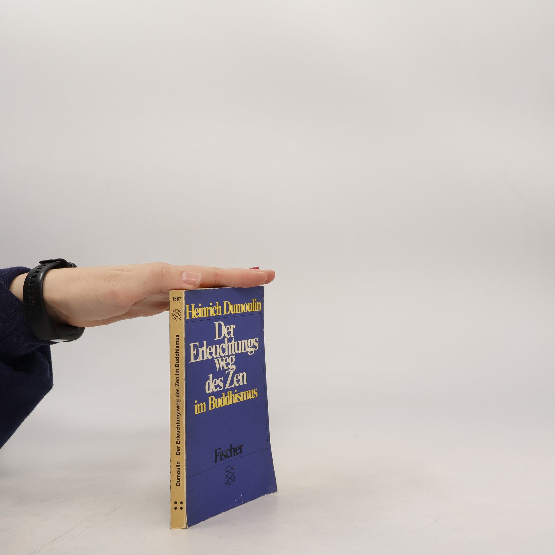 Der Erleuchtungsweg des Zen im Buddhismus