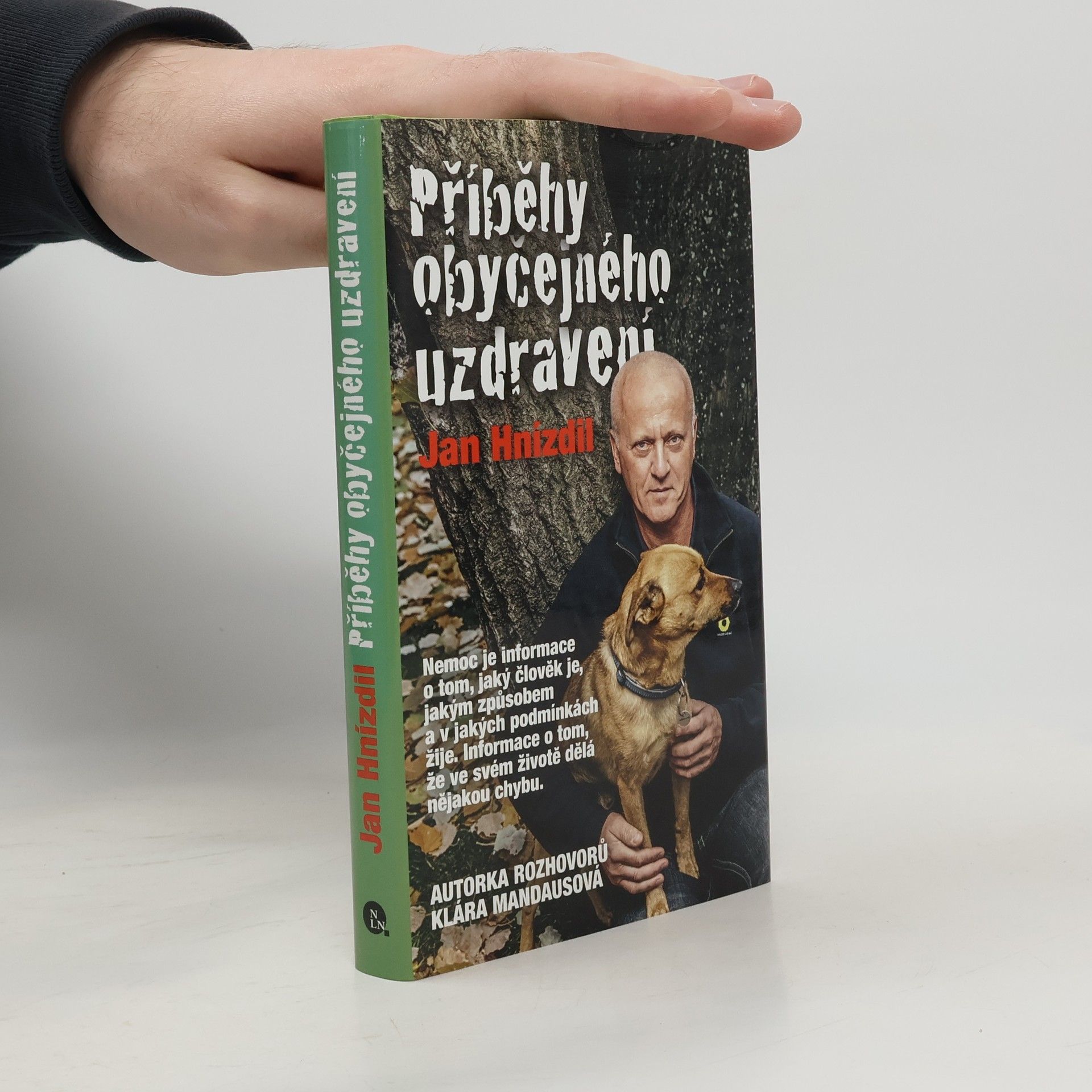 Příběhy obyčejného uzdravení