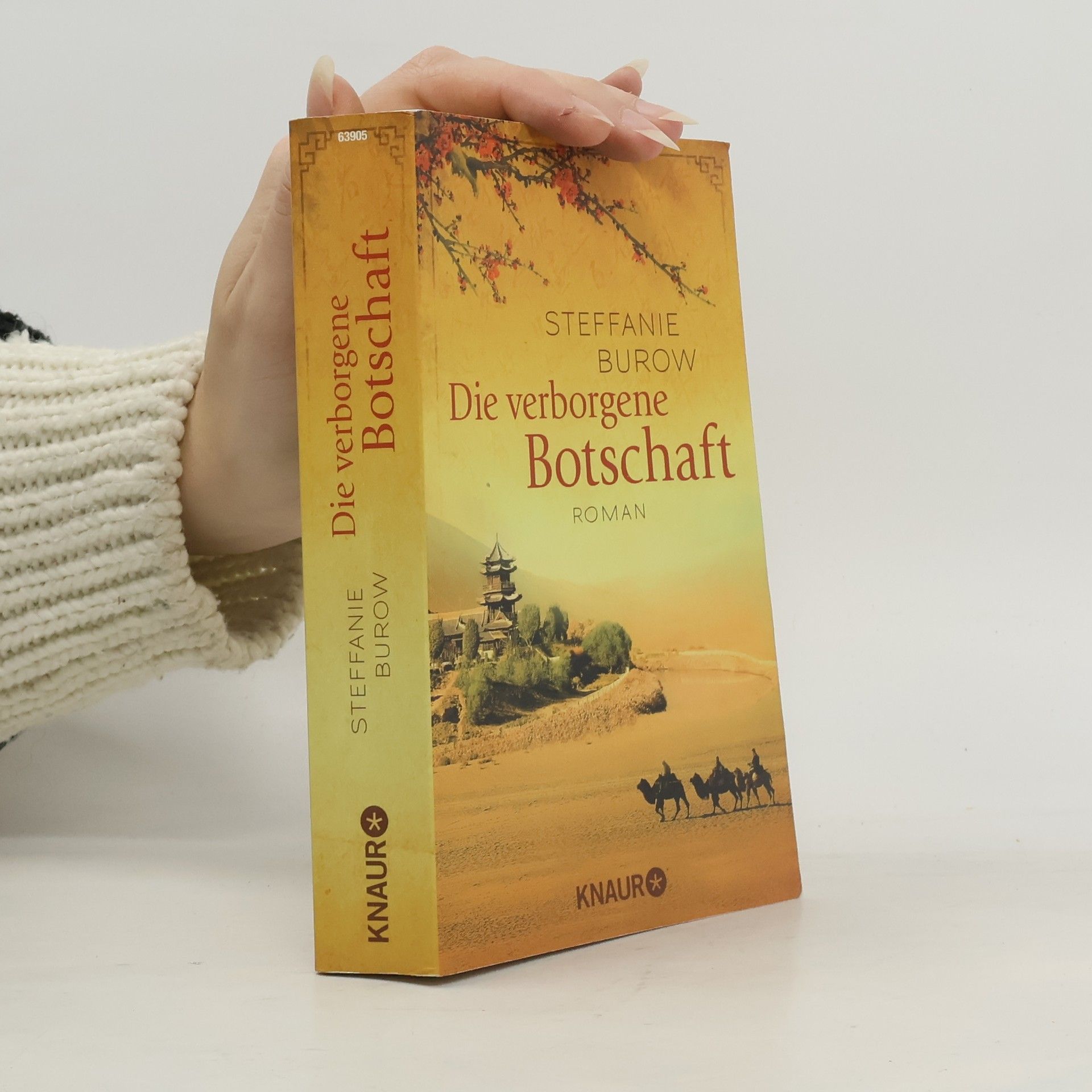 Steffanie Burow Die verborgene Botschaft