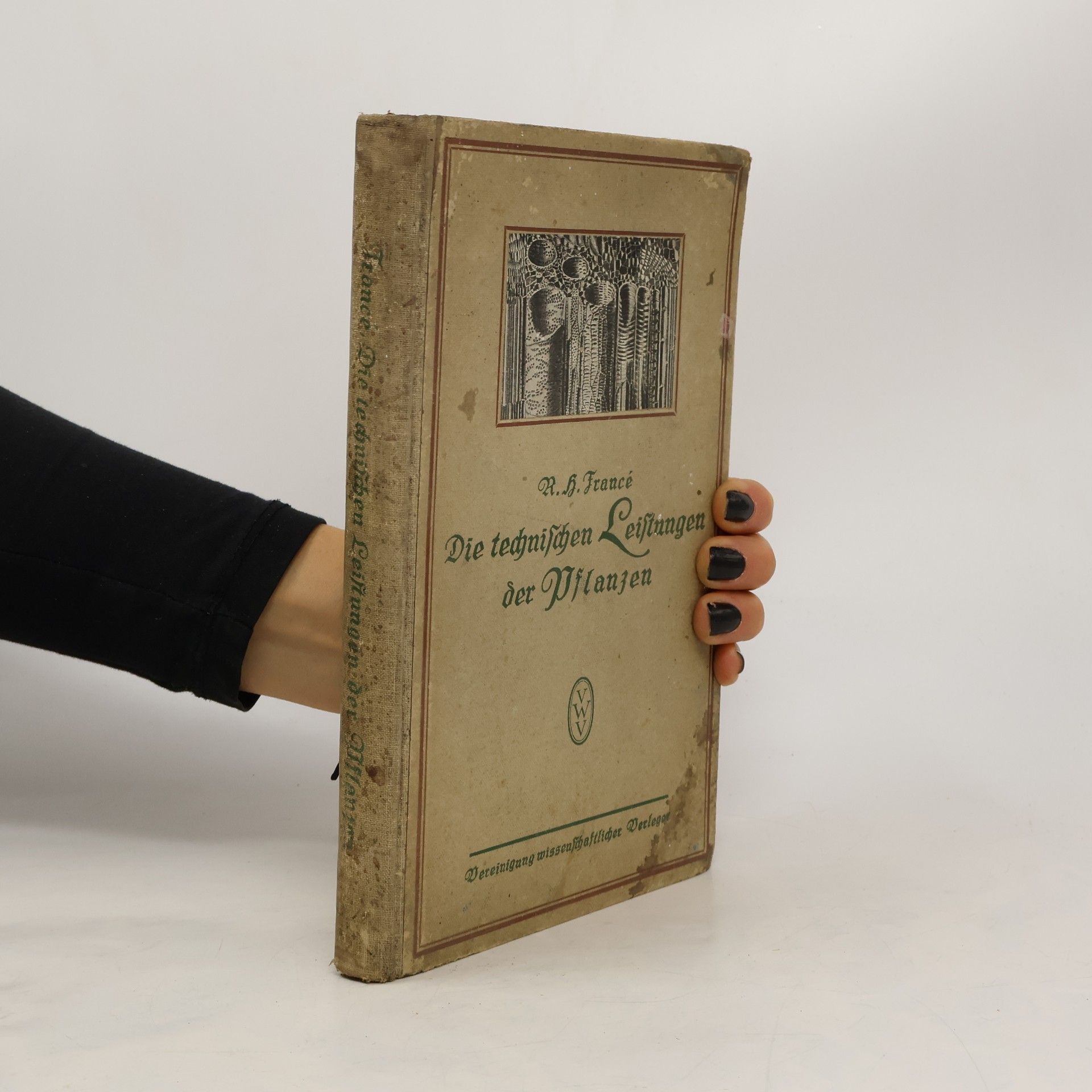Raoul Heinrich Francé Die technischen Leistungen der Pflanzen