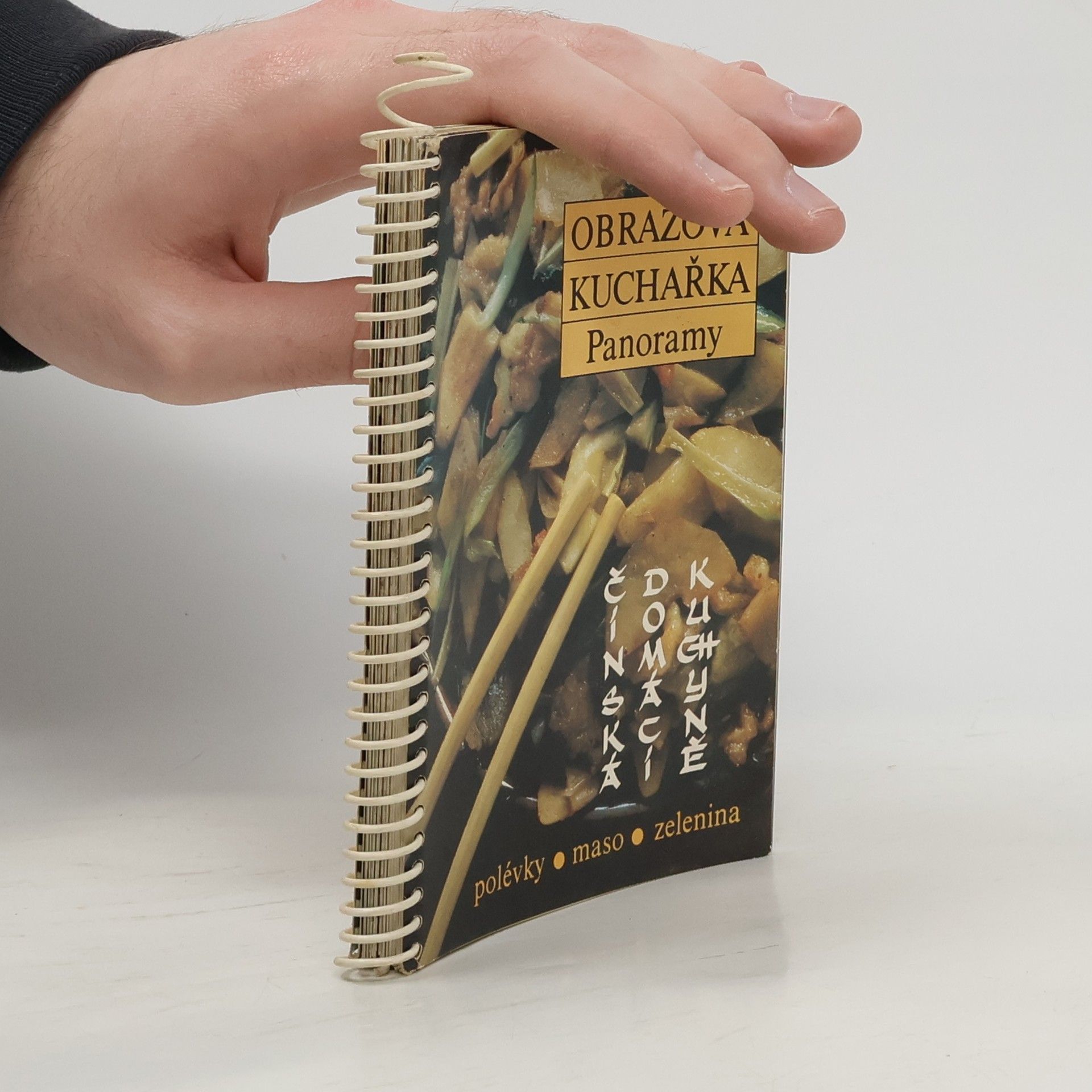 Thang Jungling Obrazová kuchařka Panoramy. Čínská domácí kuchyně