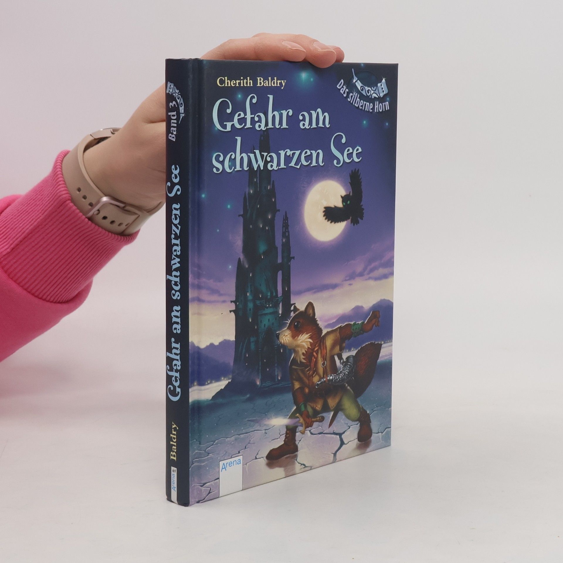 Cherith Baldry Das silberne Horn 3: Gefahr am schwarzen See