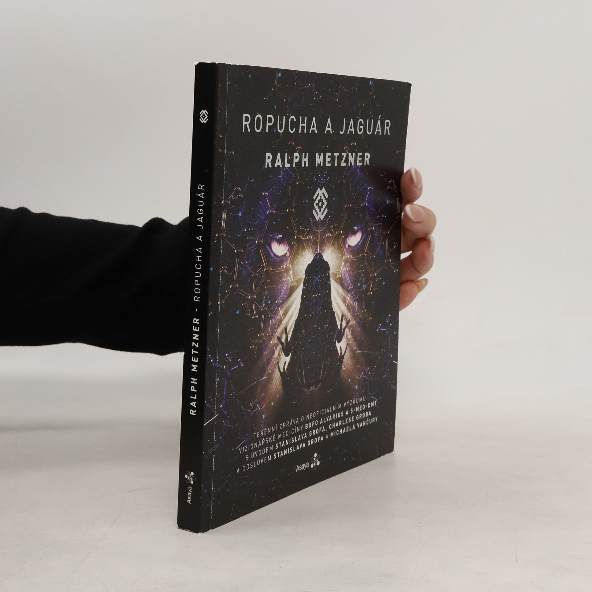 Ralph Metzner Ropucha a jaguár