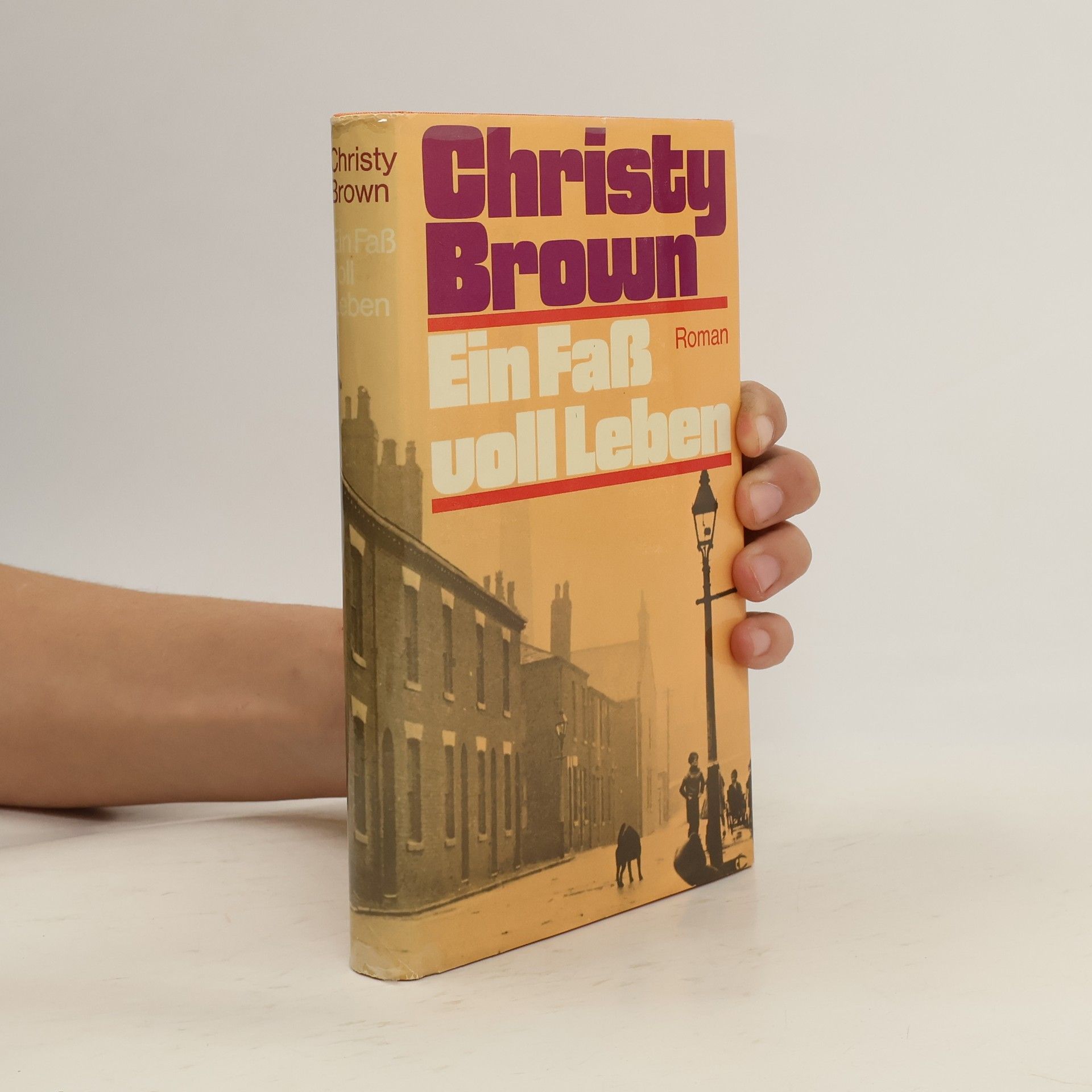 Christy Brown Ein Fass voll Leben