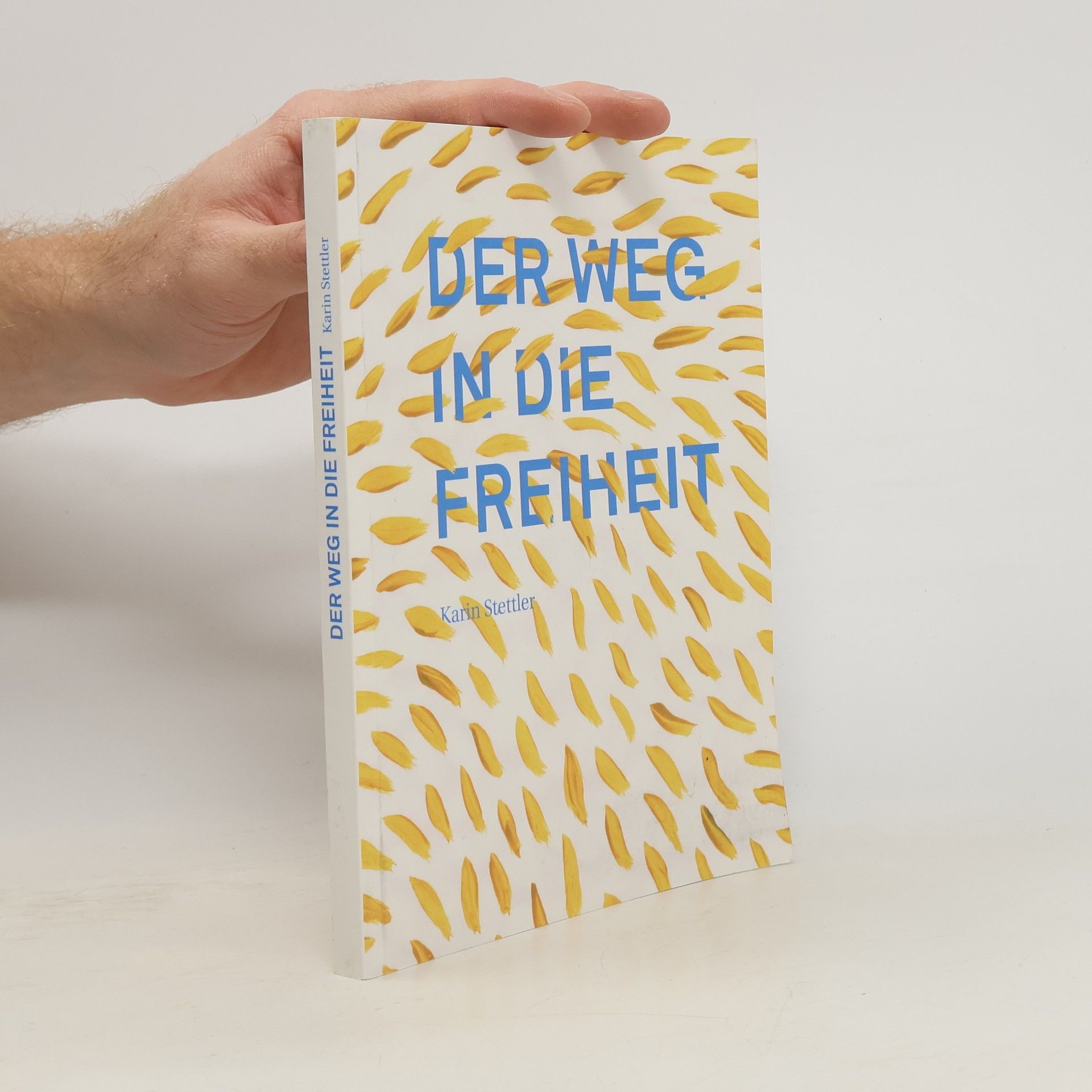 Karin Stettler Der Weg in die Freiheit