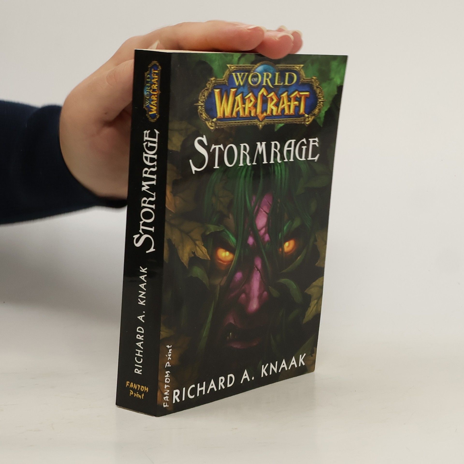 Richard A. Knaak Stormrage