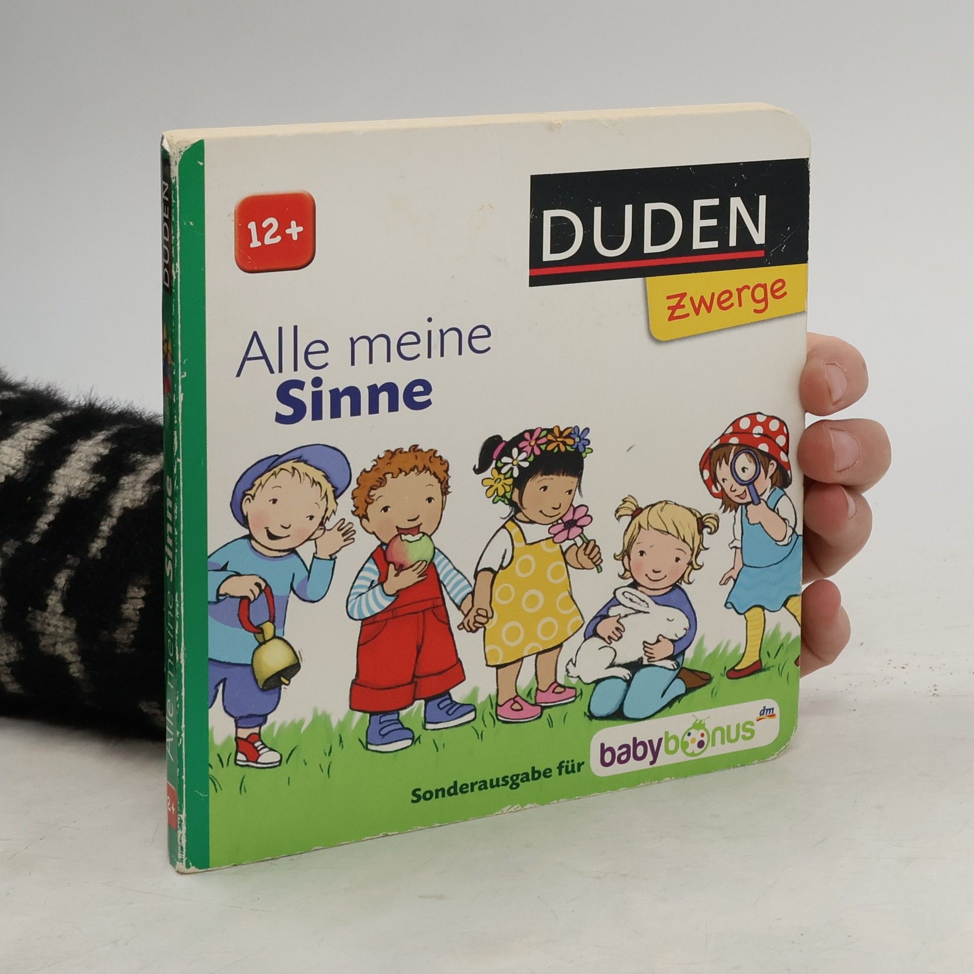 Collectif d'auteurs Alle meine Sinne