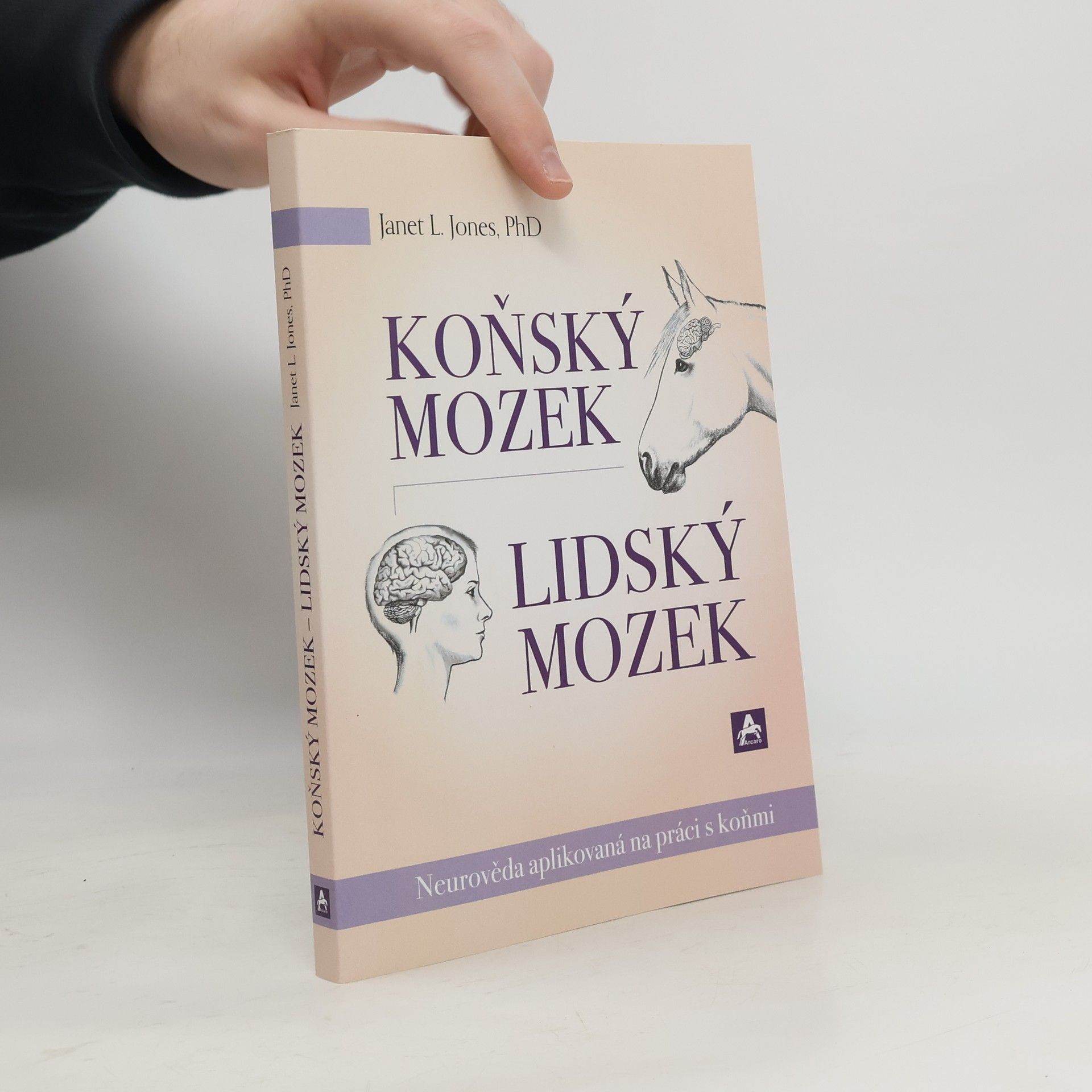 Dominika Švehlová Koňský mozek, lidský mozek