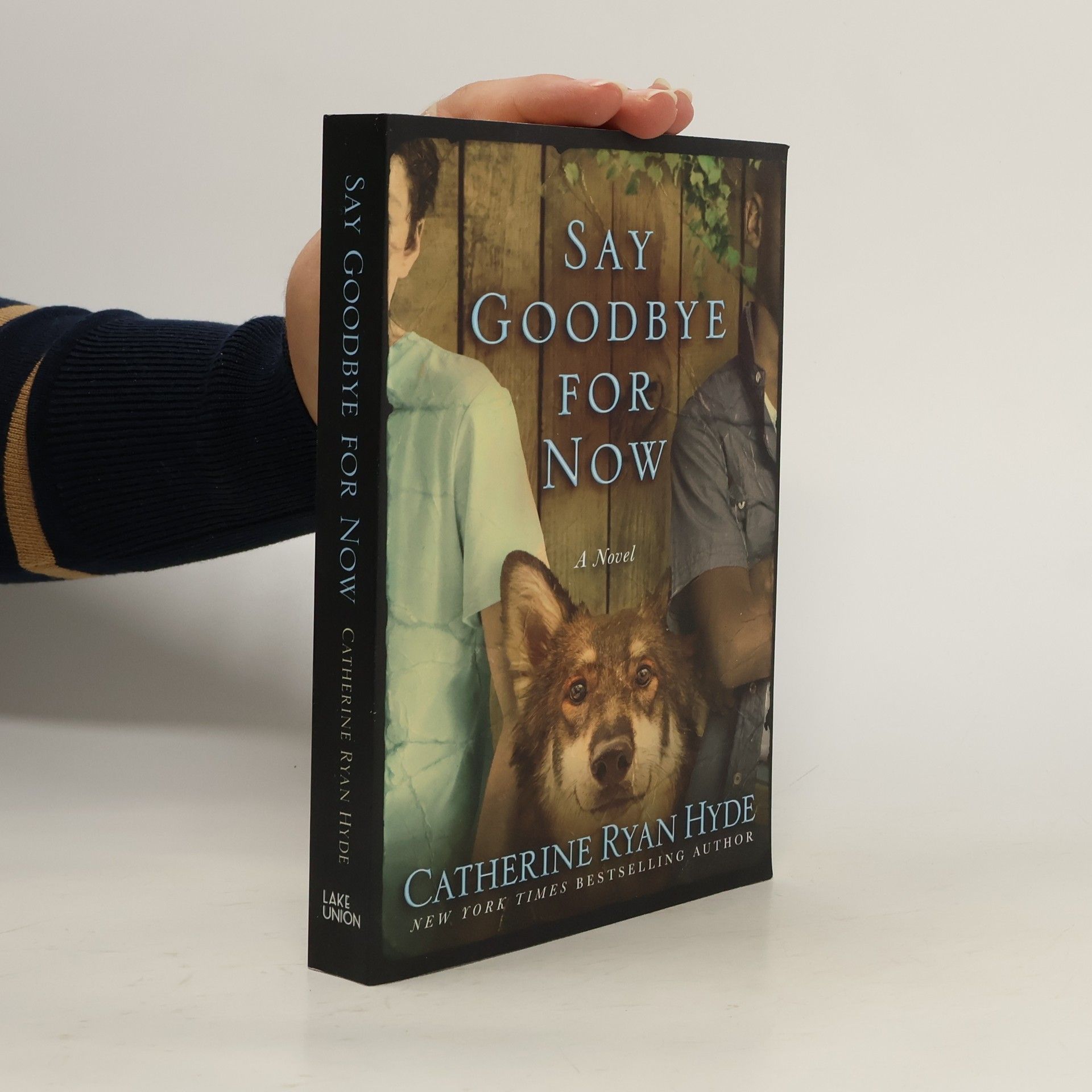 Catherine Ryan Hyde Say Goodbye for Now