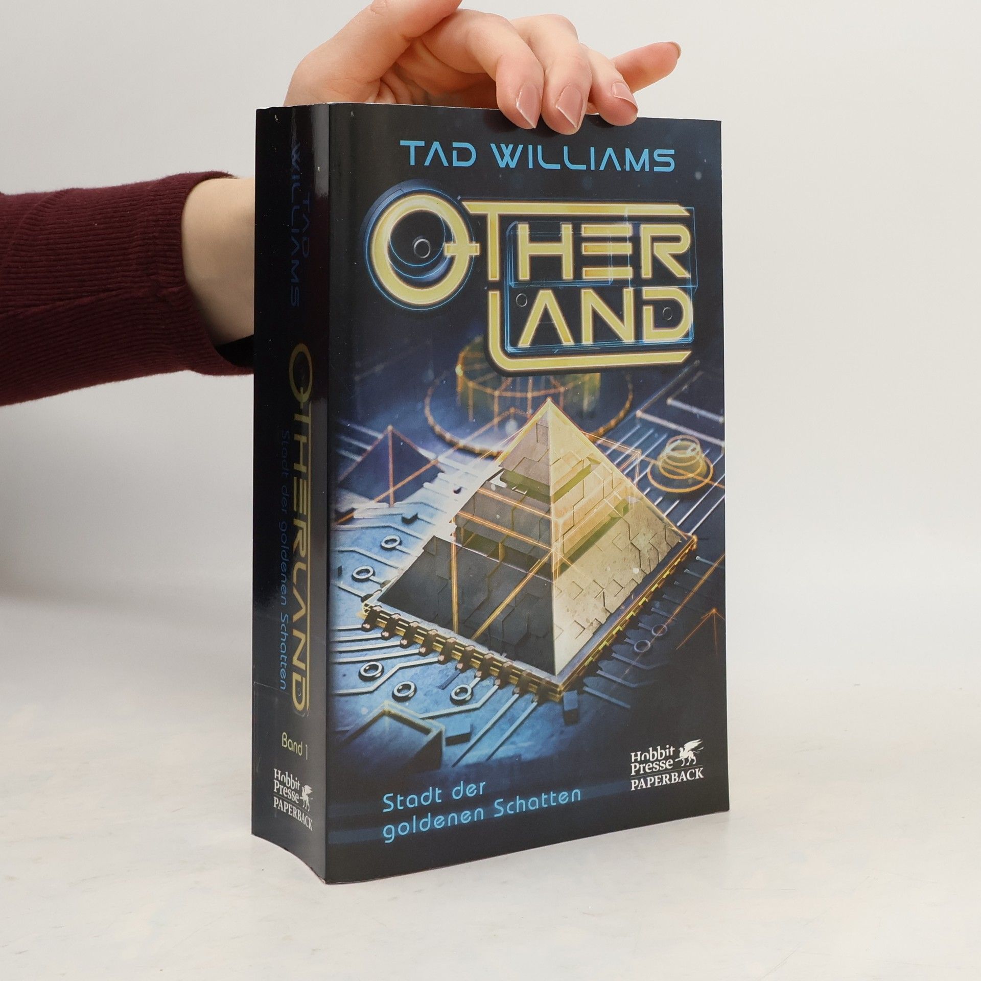 Tad Williams Other Land