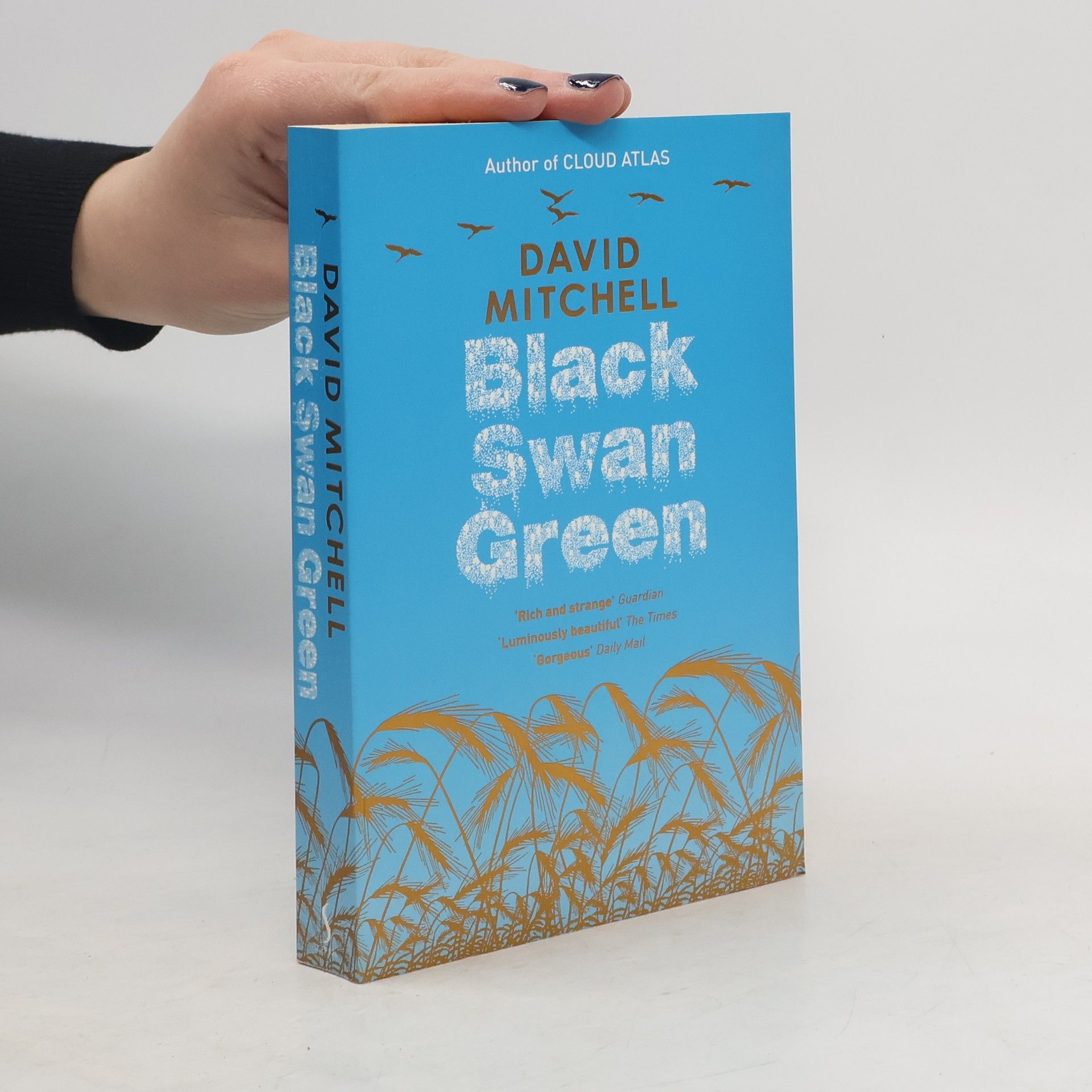 David Mitchell Black swan green