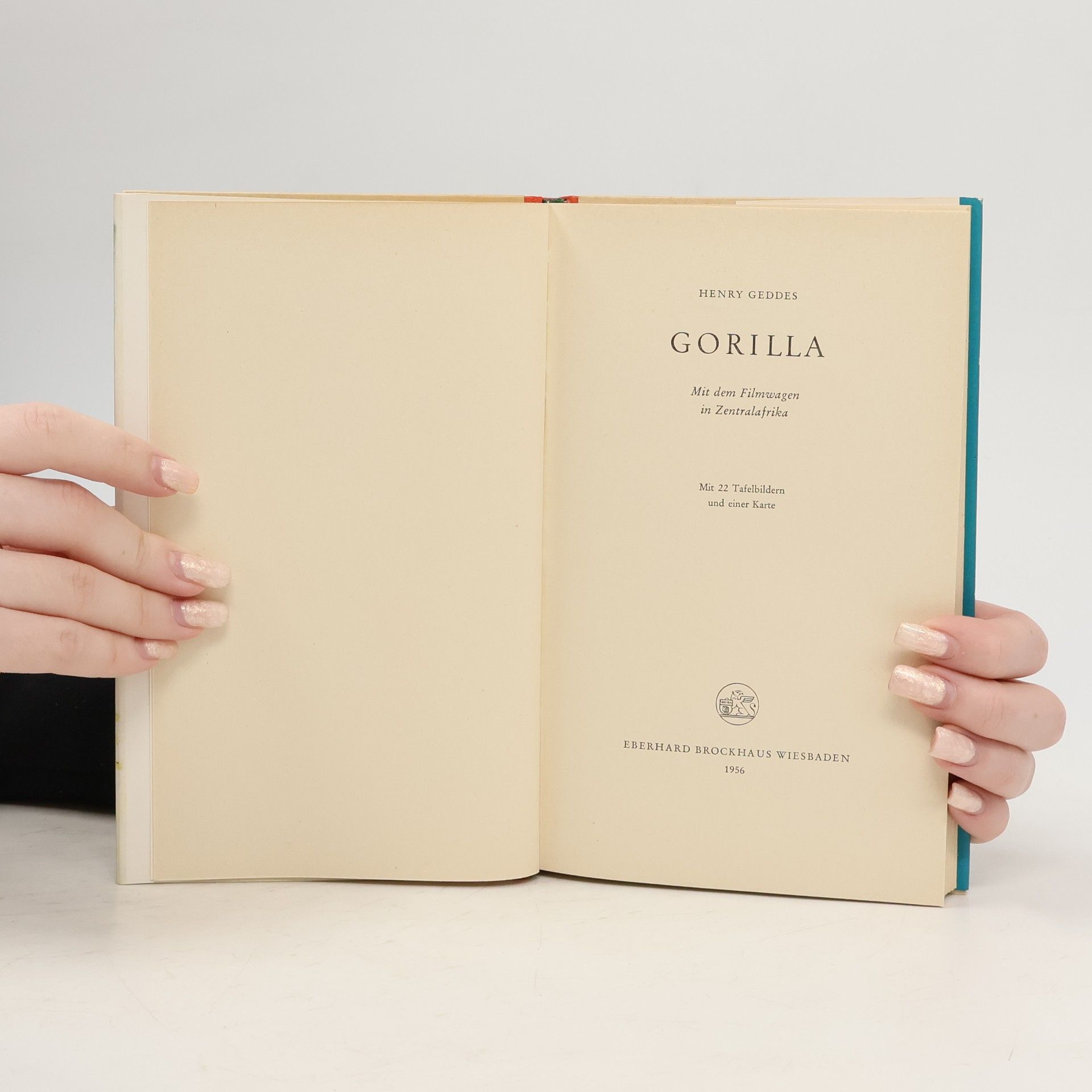 Henry Geddes Gorilla
