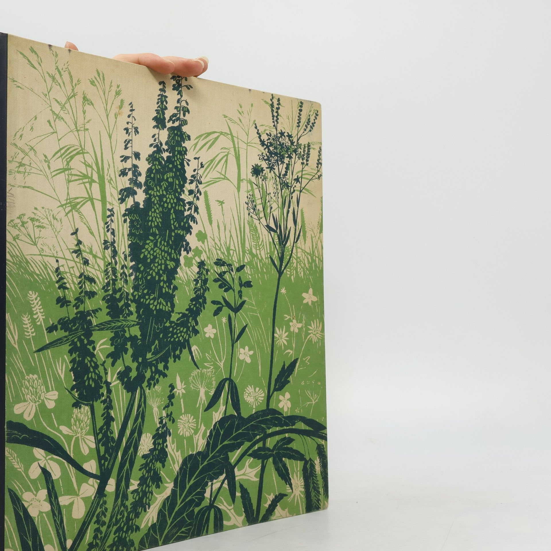 Das nieverlorene Paradies