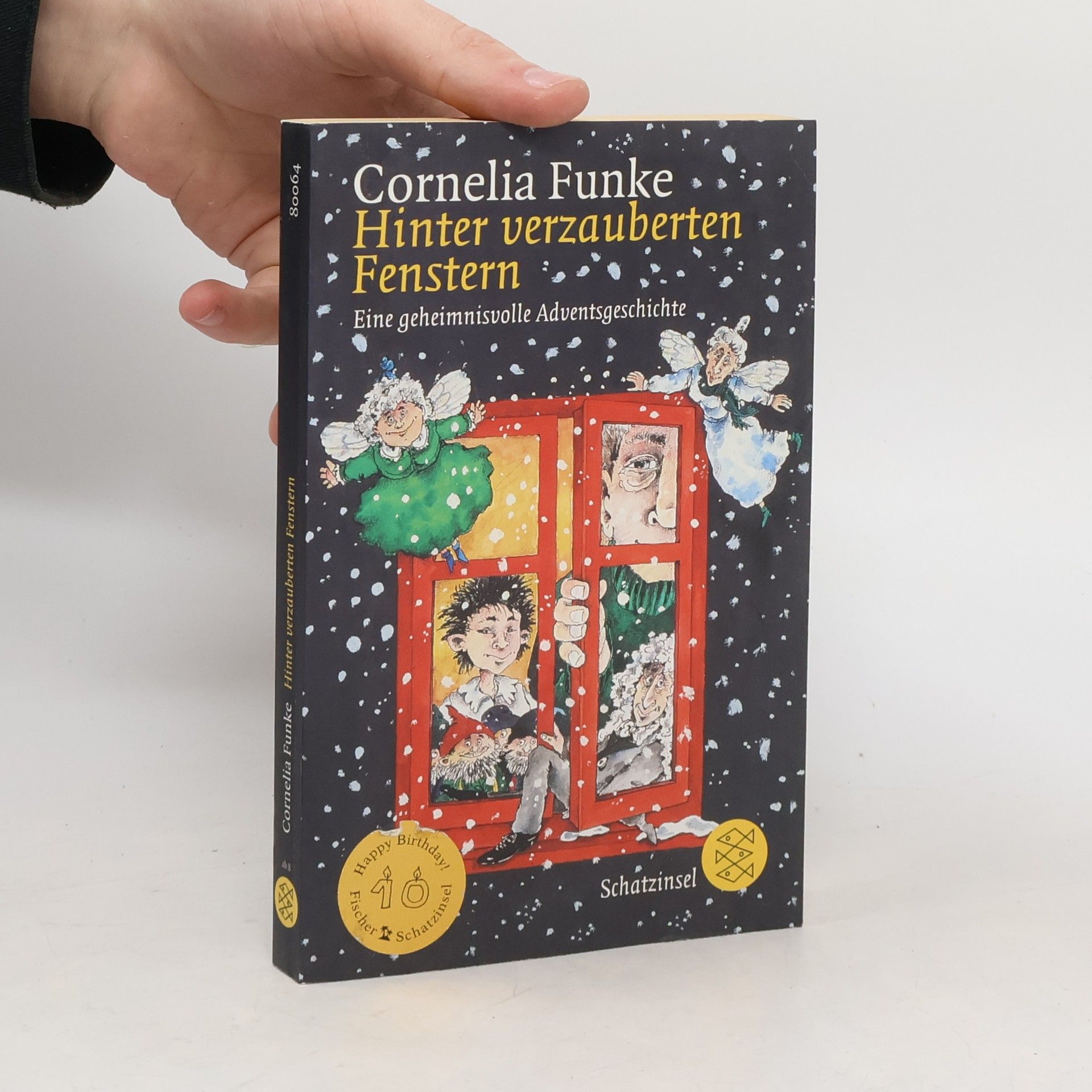 Cornelia Funkeová Hinter verzauberten Fenstern