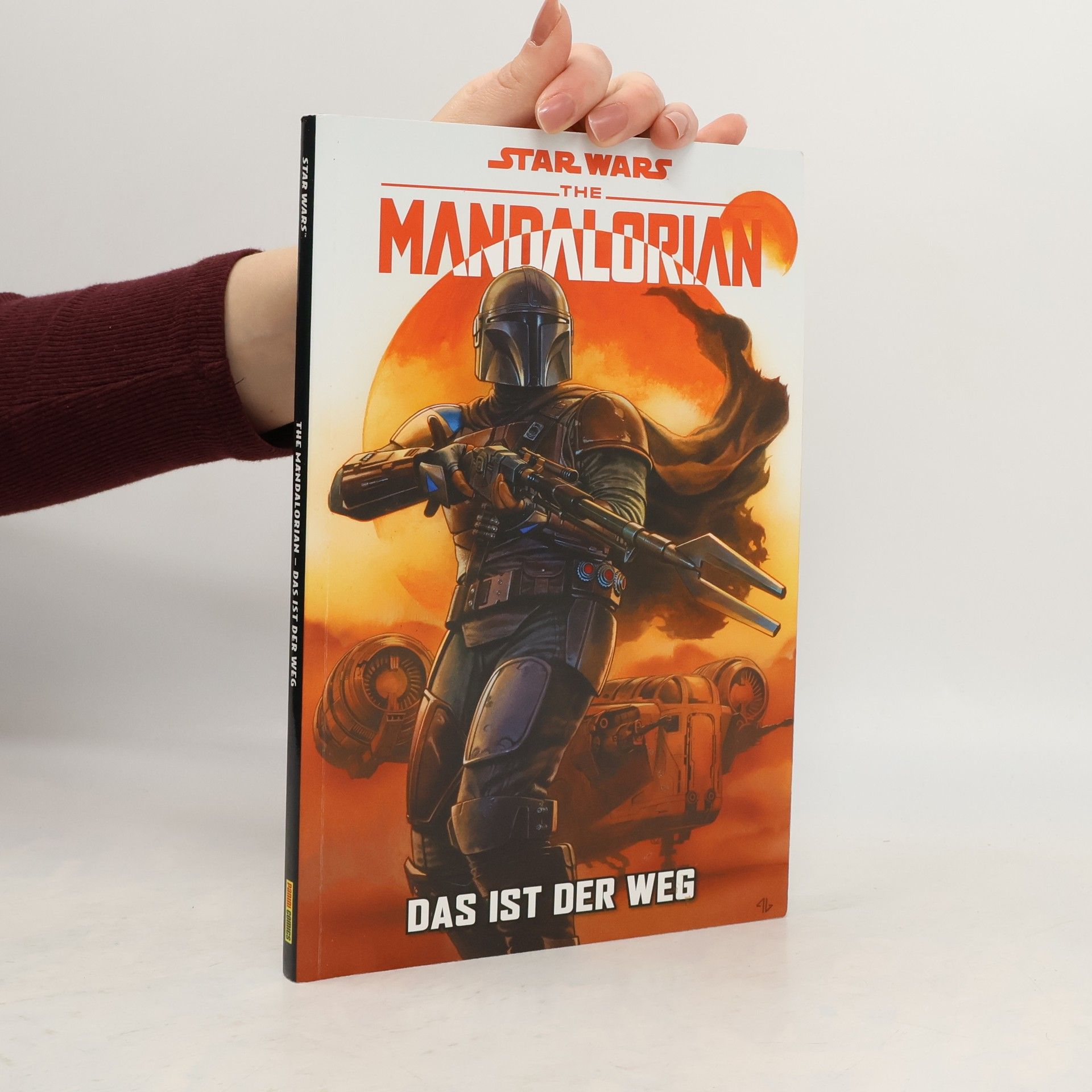 The Mandalorian - das ist der Weg