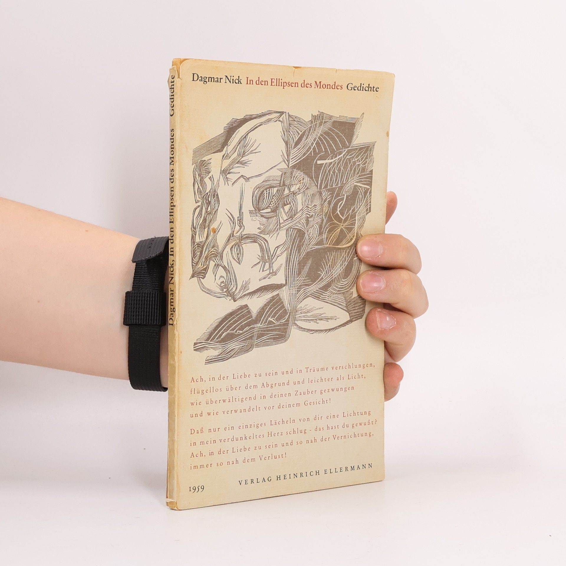 Dagmar Nick In den Ellipsen des Mondes