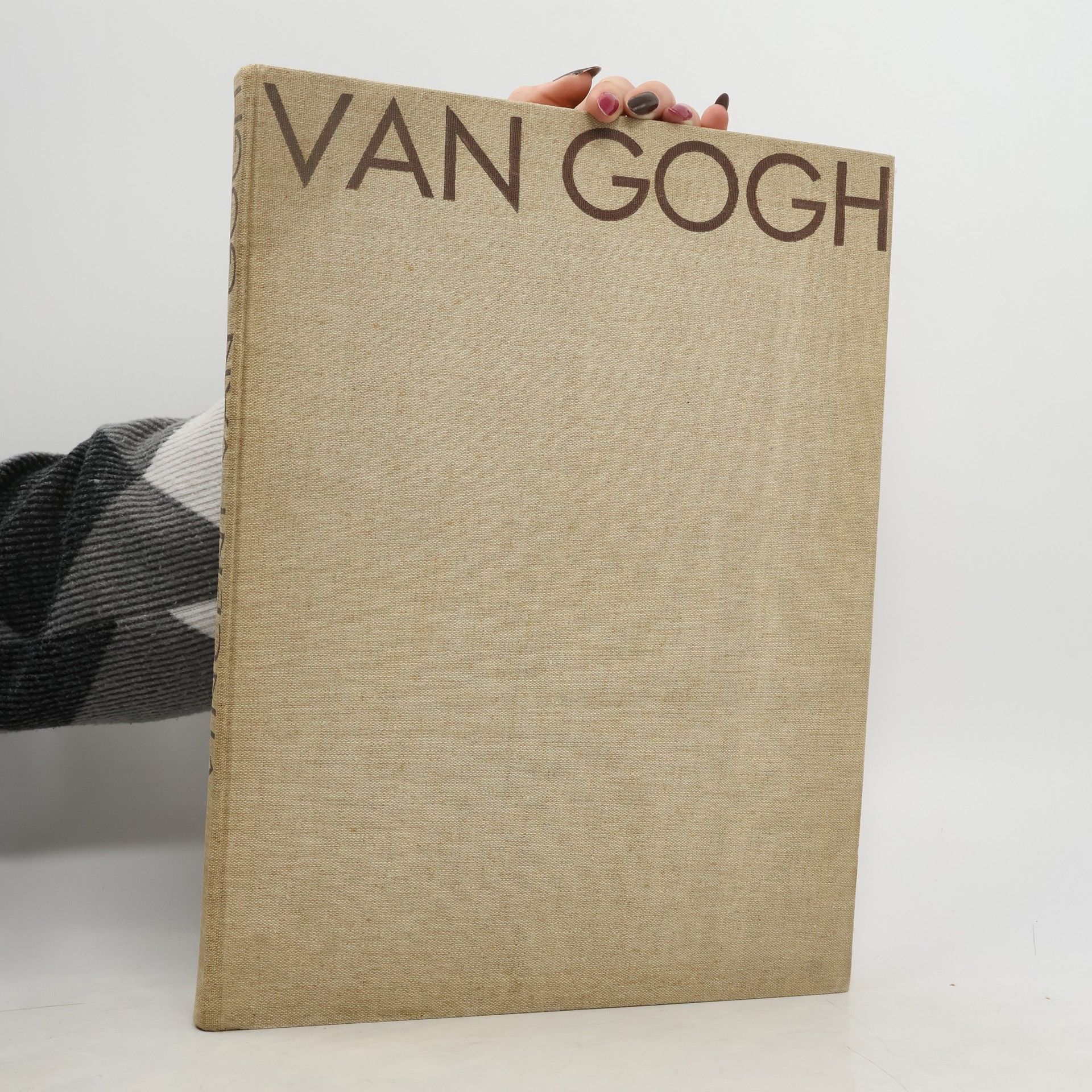 Kolektiv autorů Vincent van Gogh