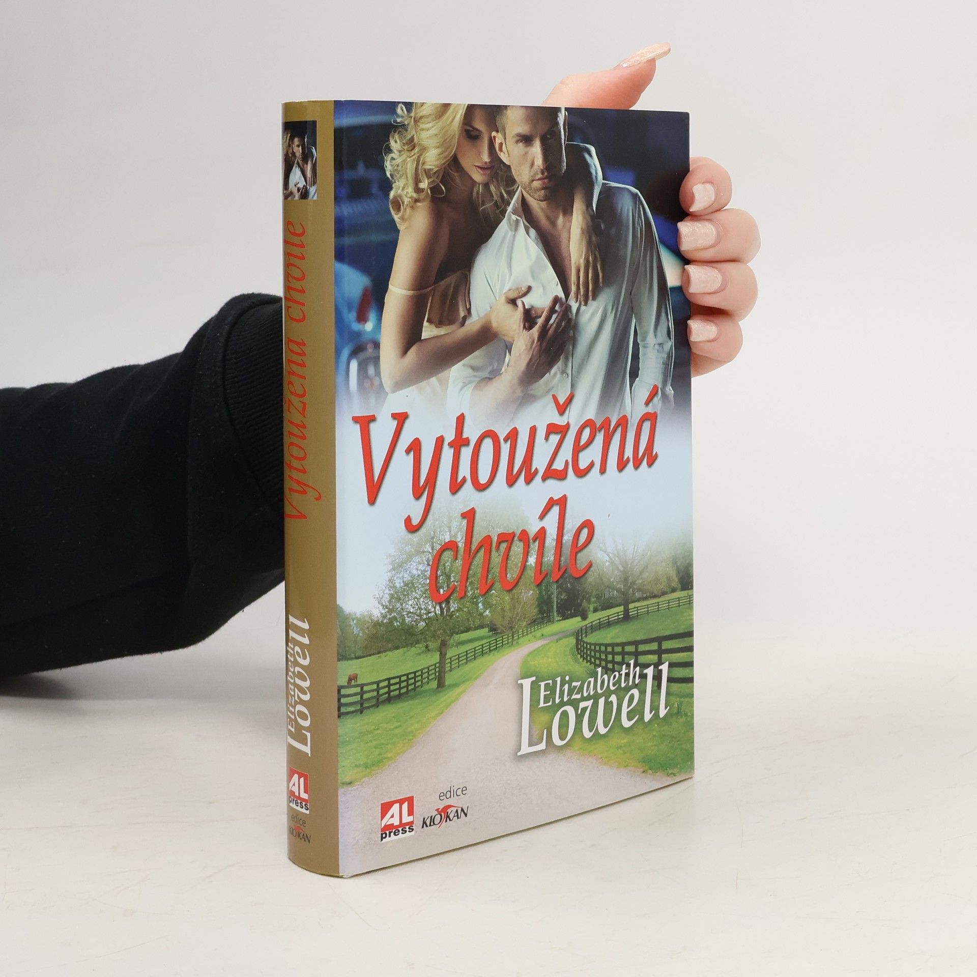 Ann Maxwell Vytoužená chvíle