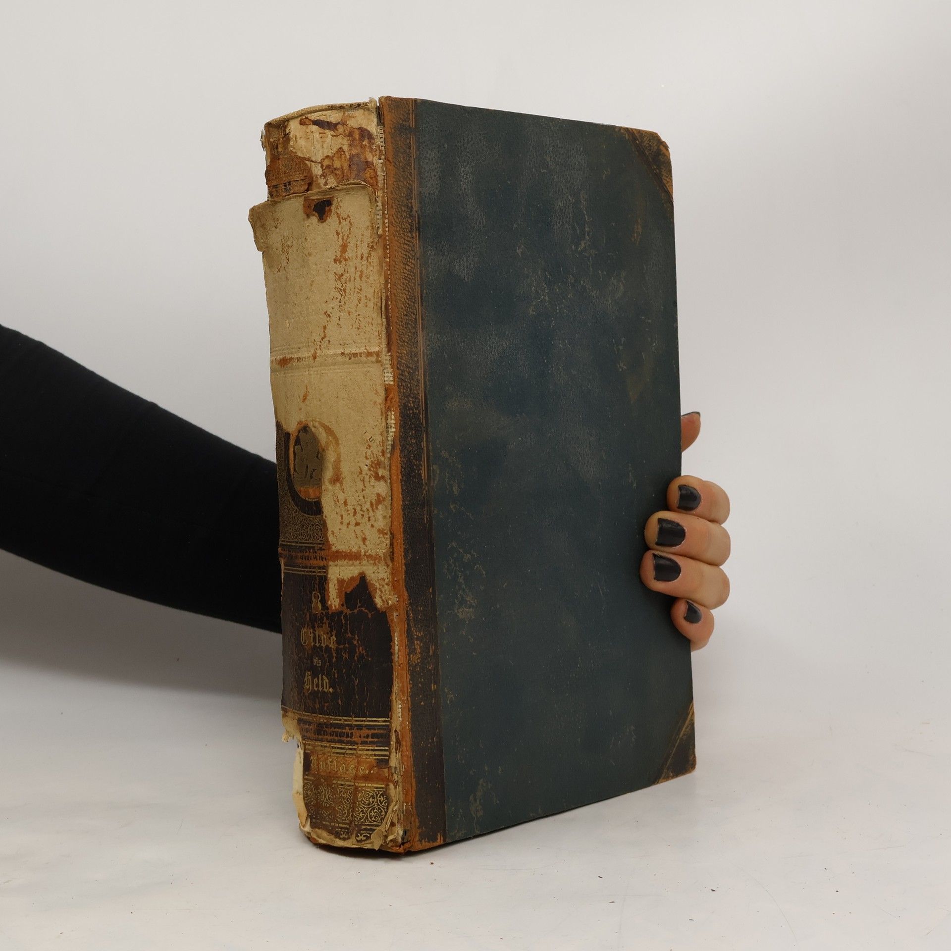 Auteurscollectief Brockhaus' Konversations-Lexikon 8.