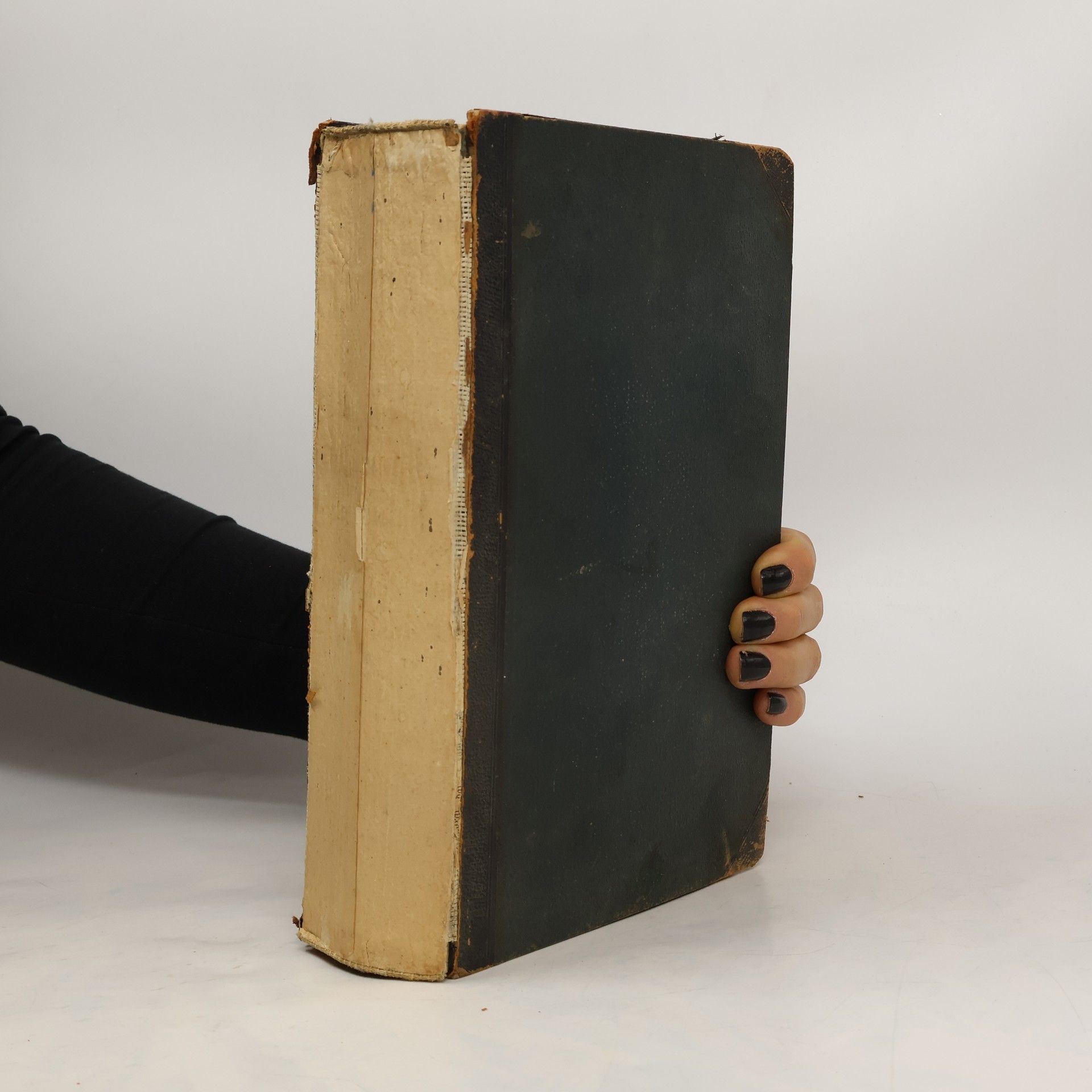 Autorenkollektiv Brockhaus' Konversations-Lexikon 17