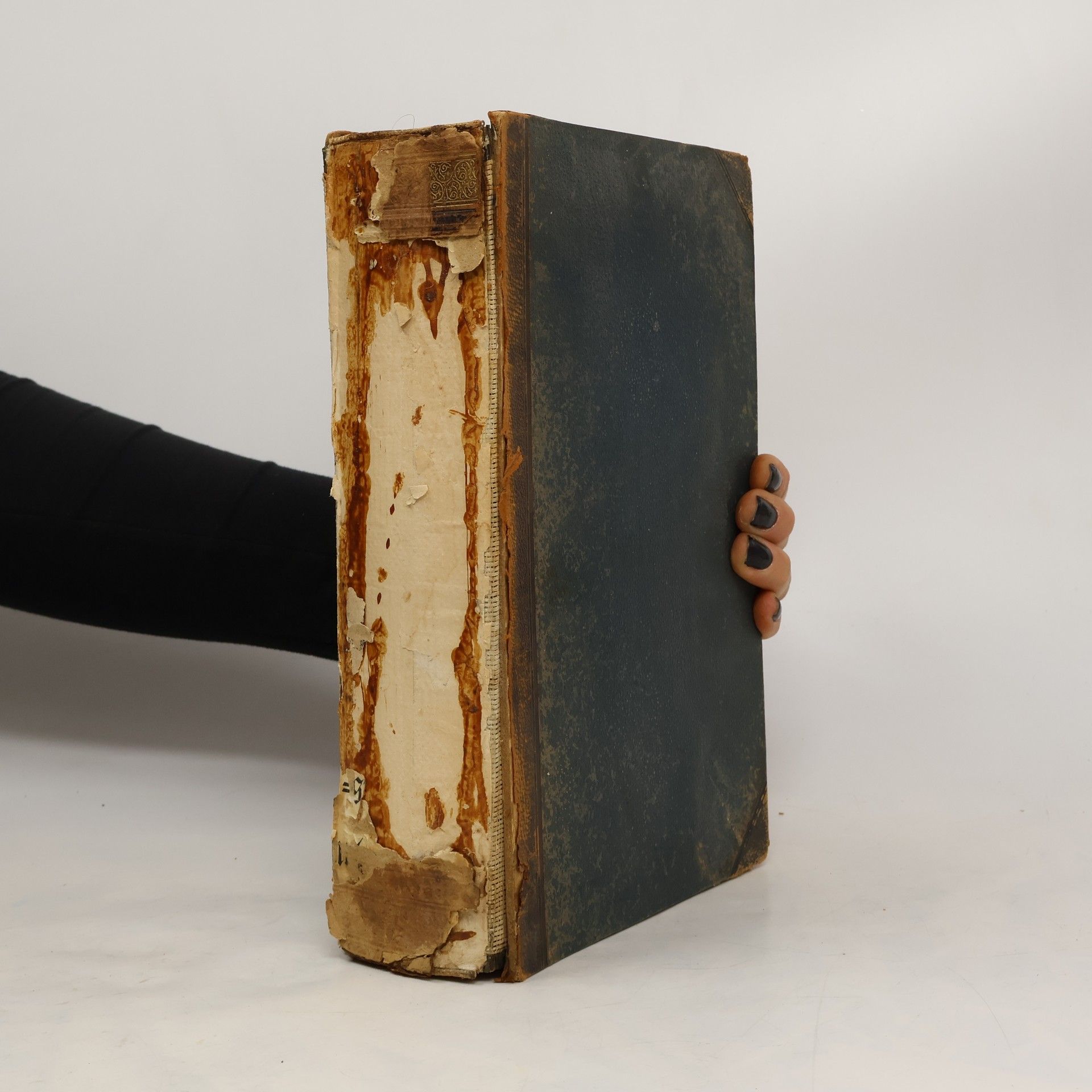 Collectif d'auteurs Brockhaus' Konversations-Lexikon 1