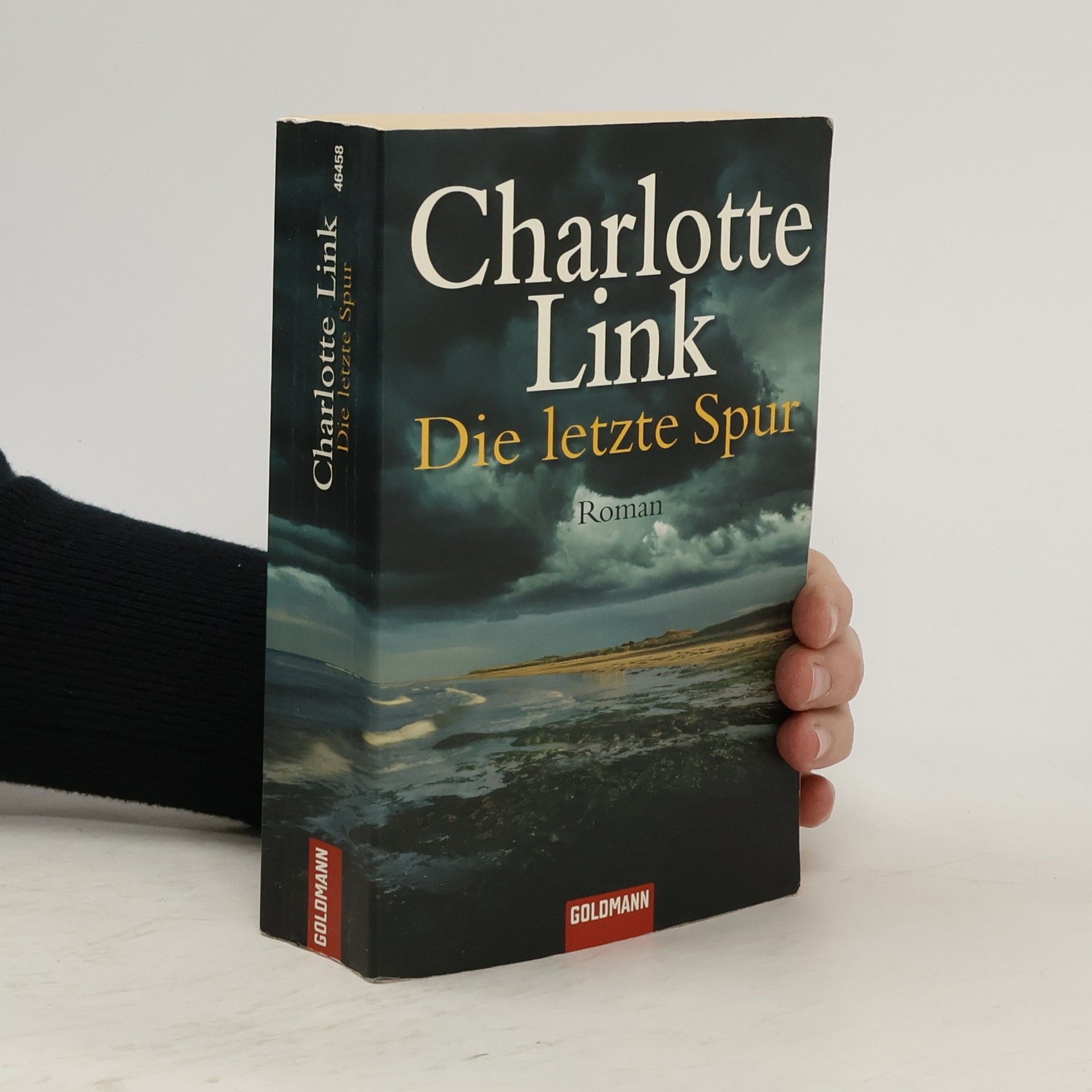 Charlotte Link Die letzte Spur