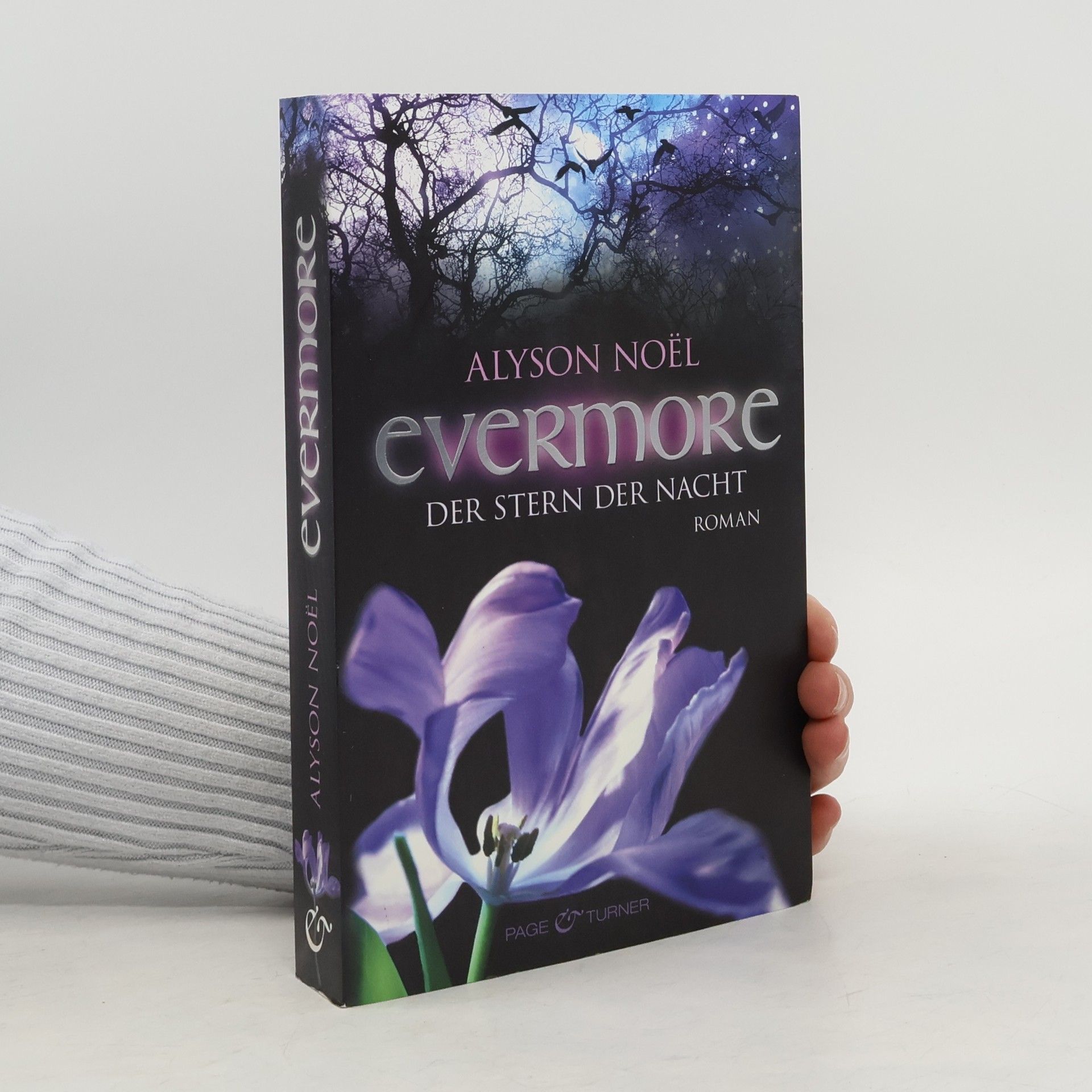 Alyson Noël Evermore: Der Stern der Nacht