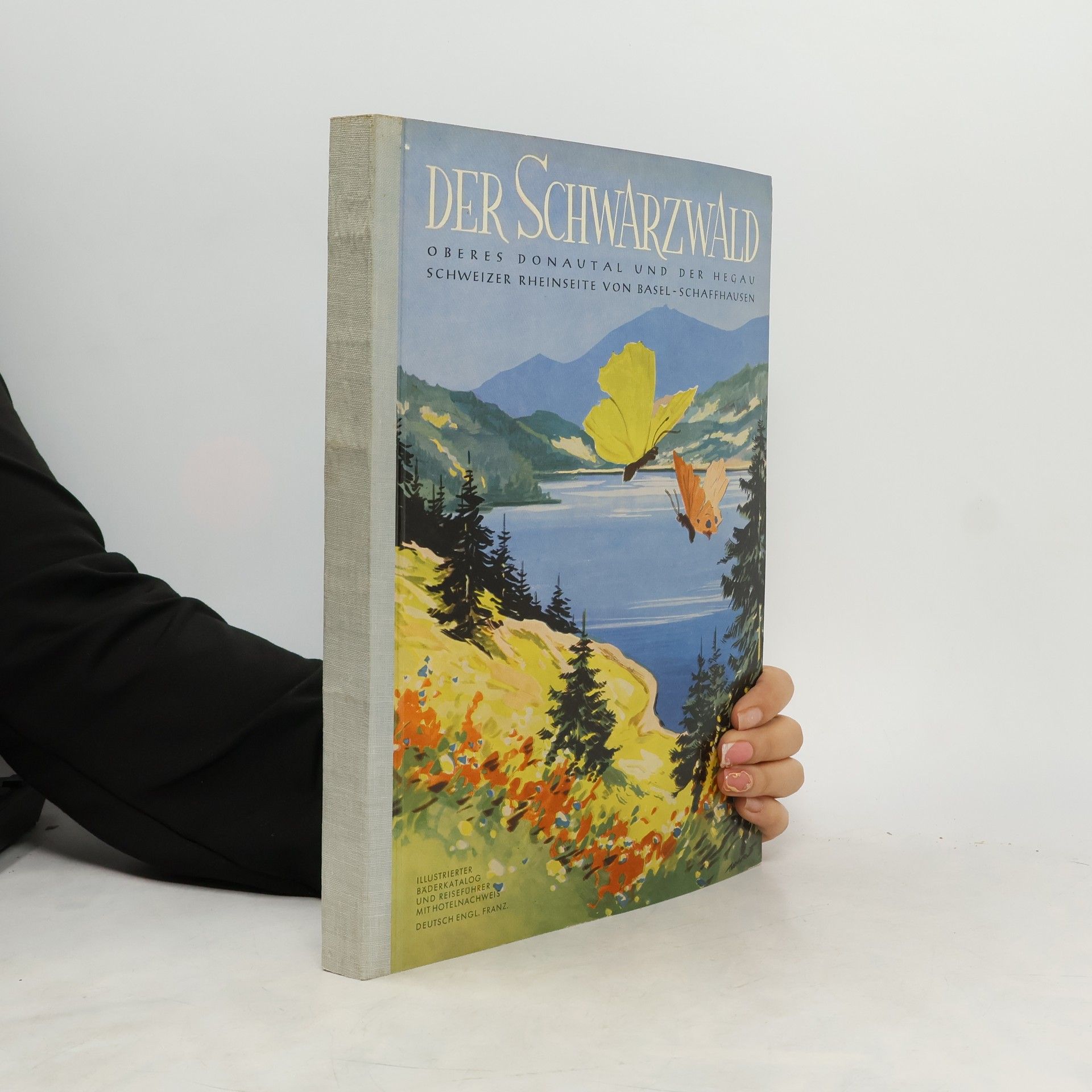 Kolektiv autorů Der Schwarzwald 2.