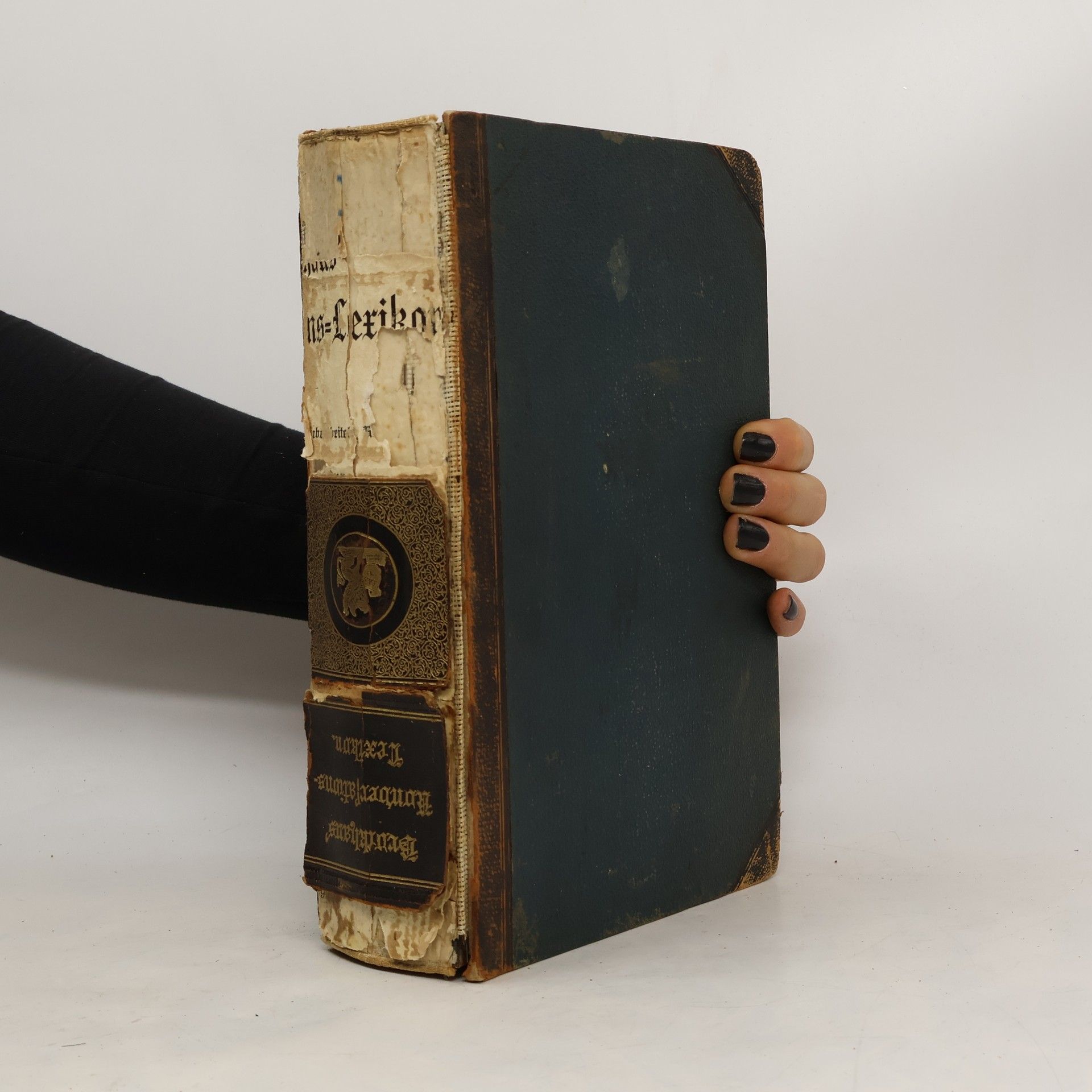 Autorenkollektiv Brockhaus' Konversations-Lexikon 15